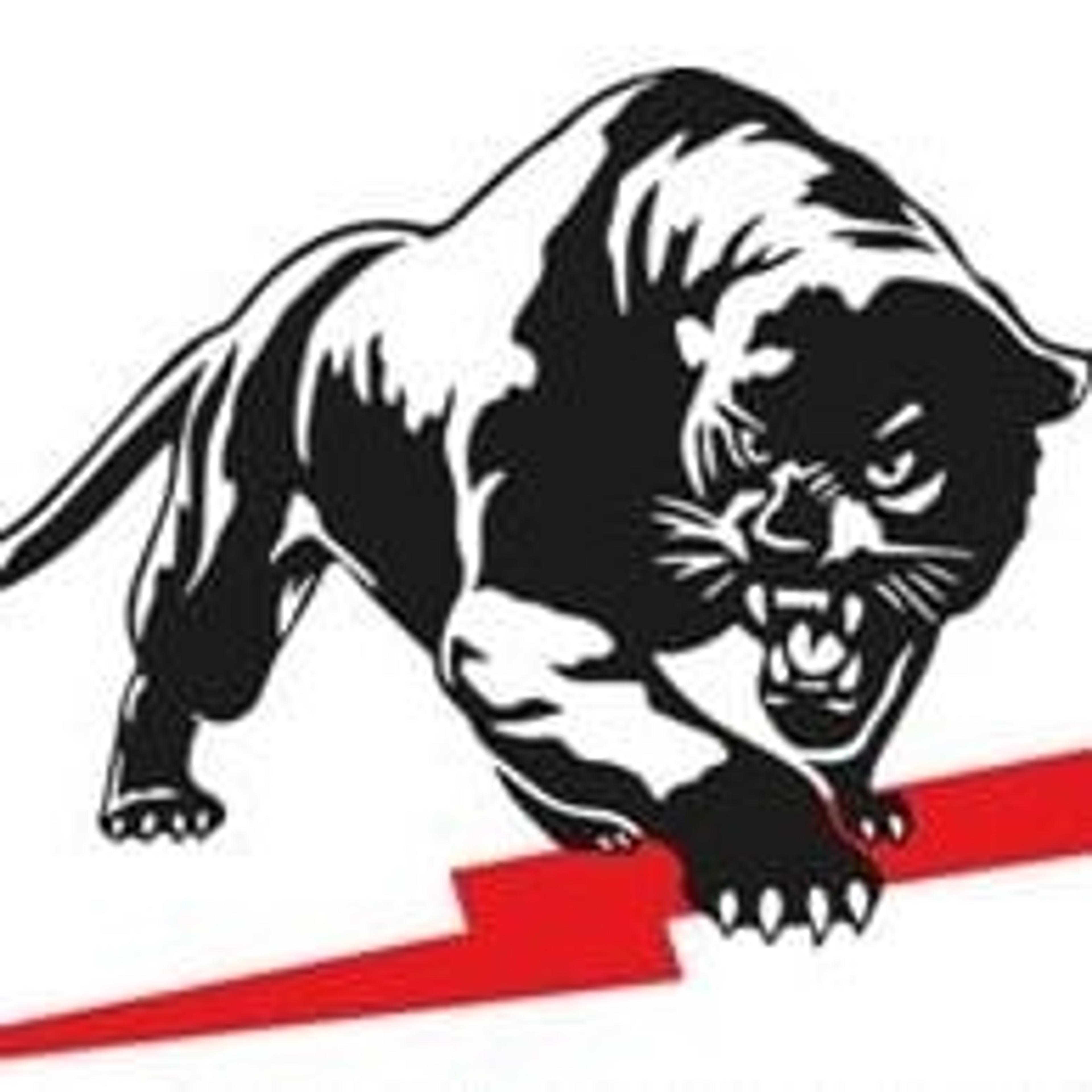 ALPHA INVESTIGAZIONI SRLS
