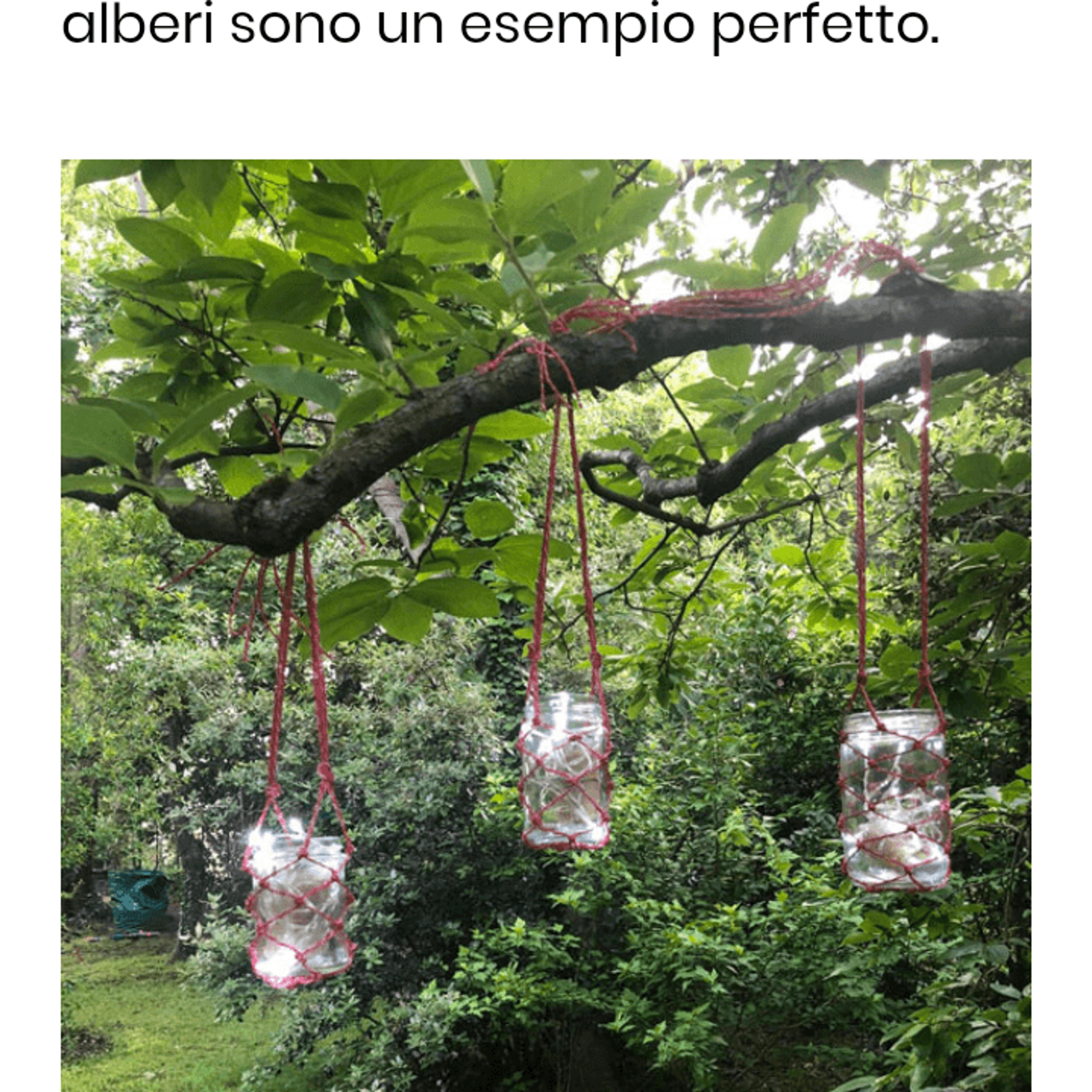 Impresa di Pulizie Andrea Orsini