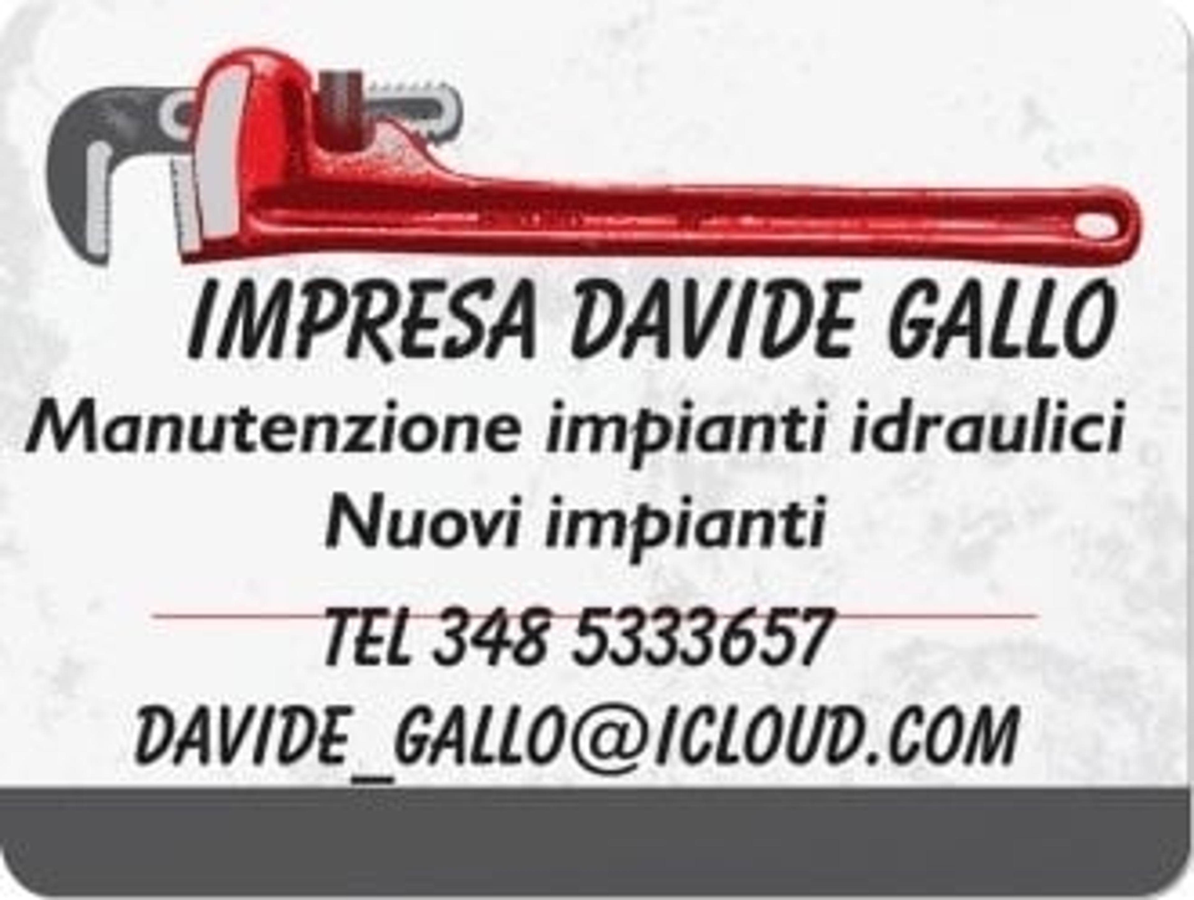 Impresa Davide Gallo