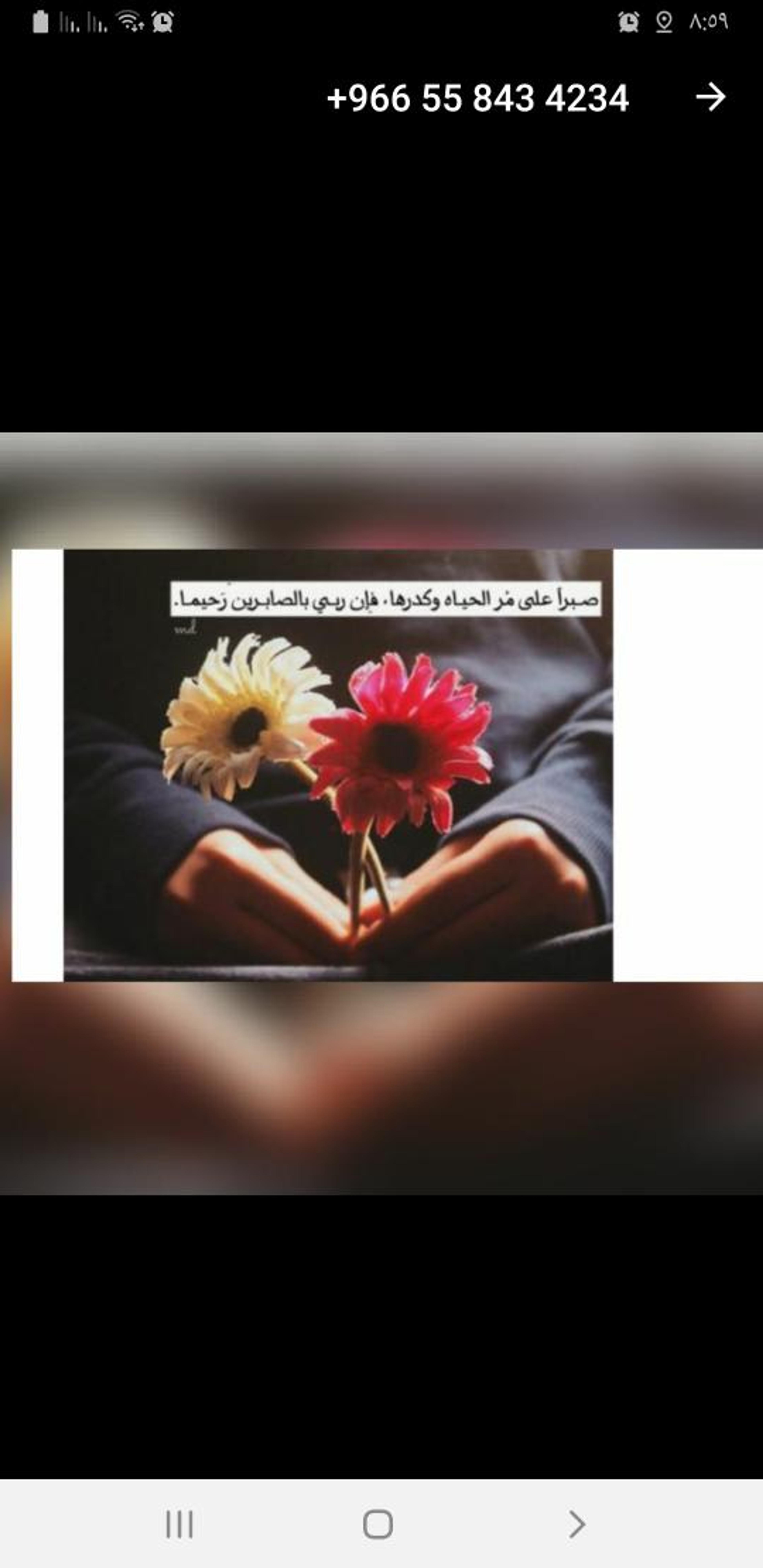 شركه الأفضل لنقل الأثاث