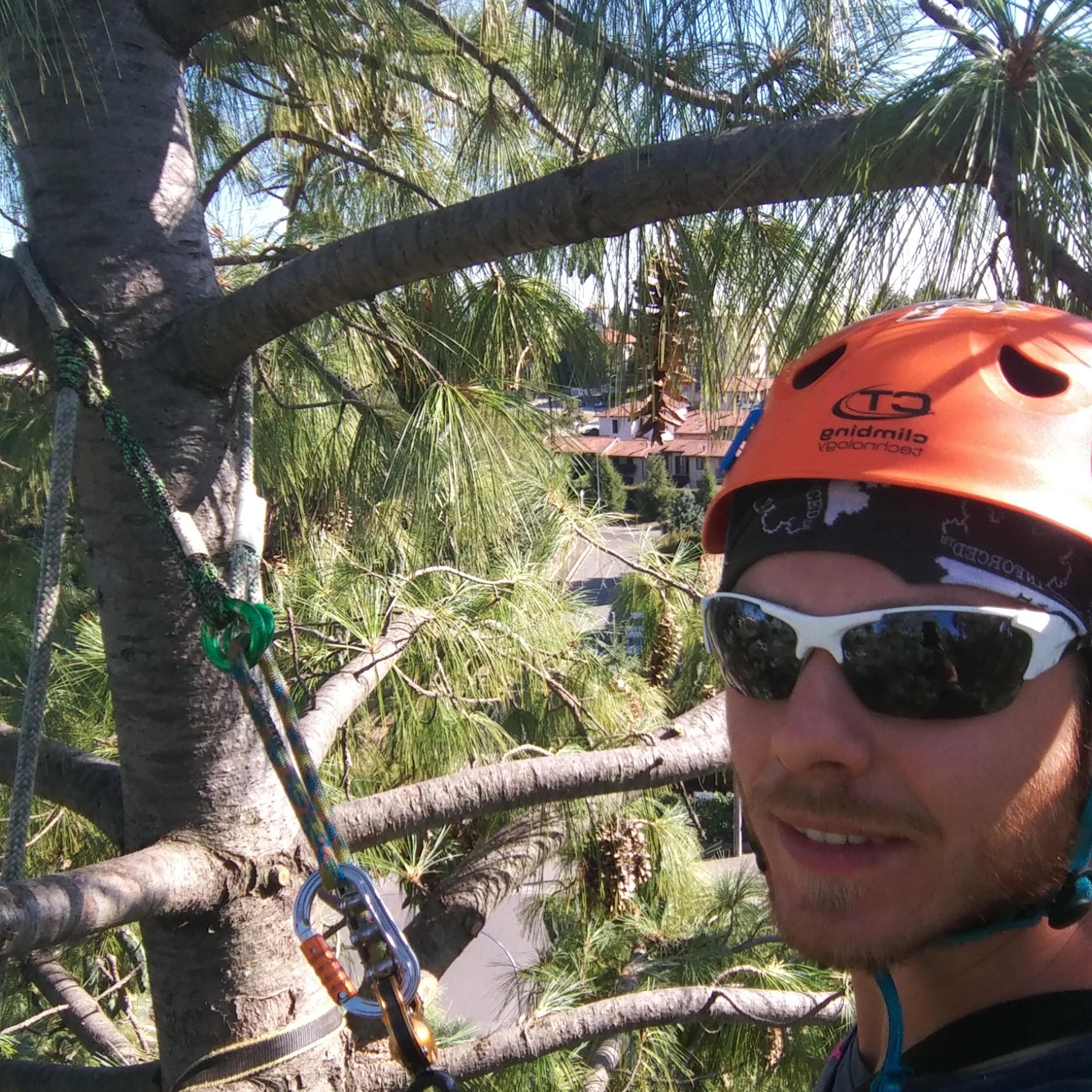 Cut-taneo Tree Services di Lorenzo Cattaneo