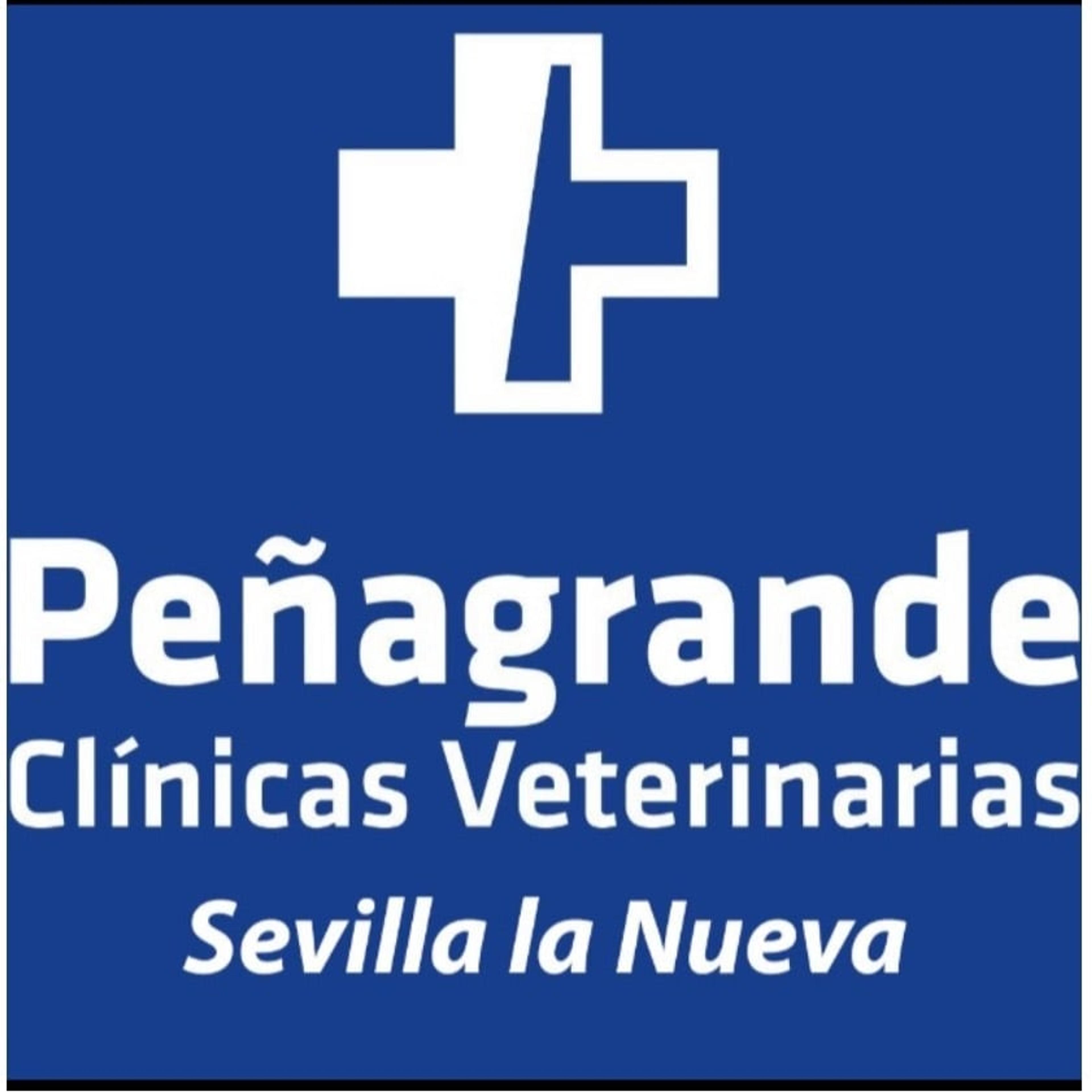 Andres Santiago