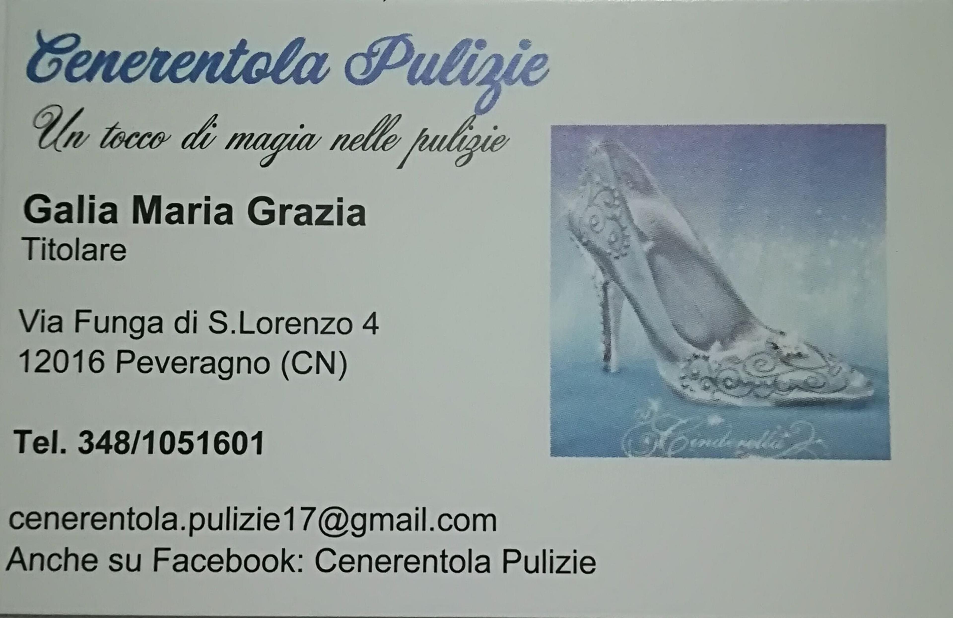 Cenerentola pulizie srls