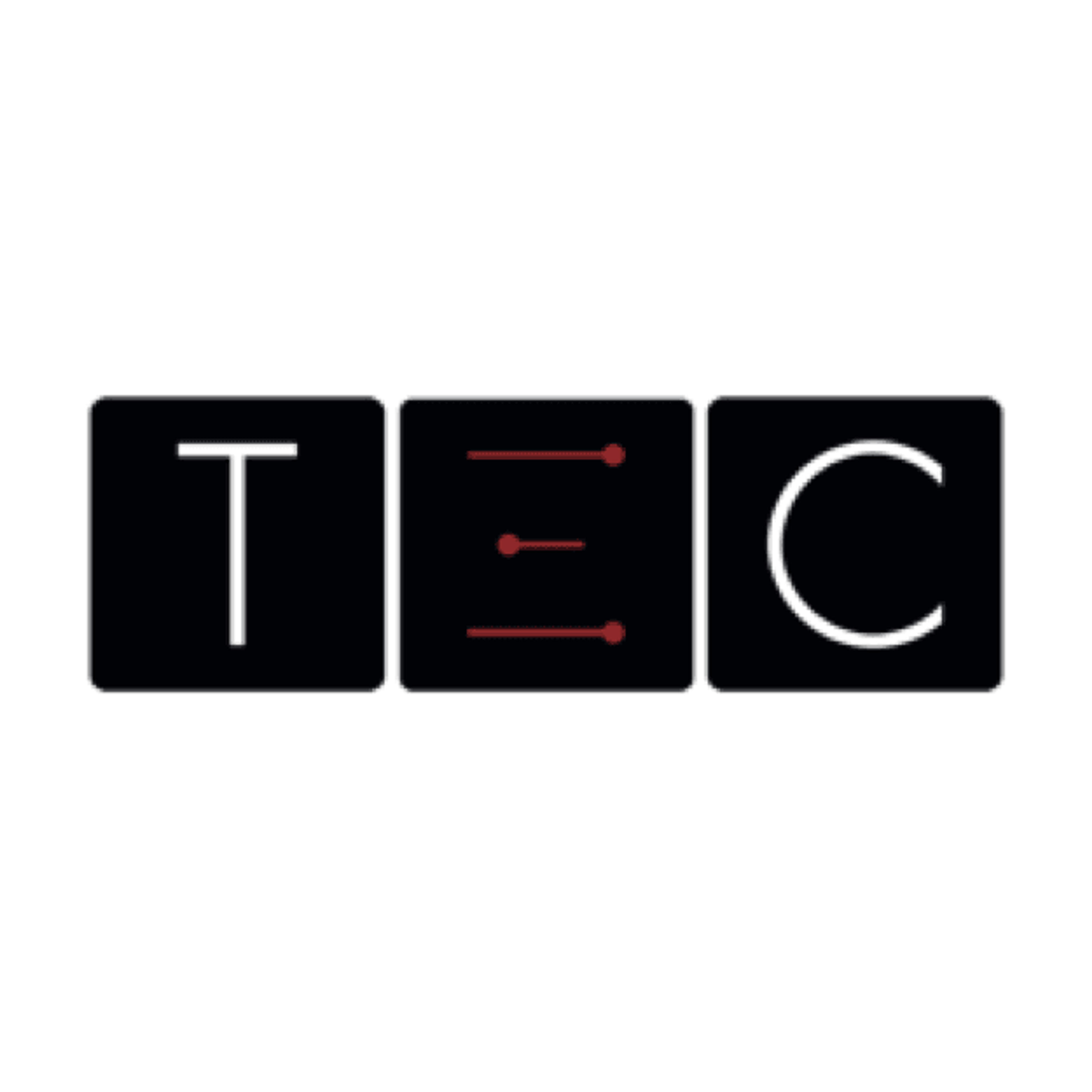 TEC Store Italia (EMOBI Srls)
