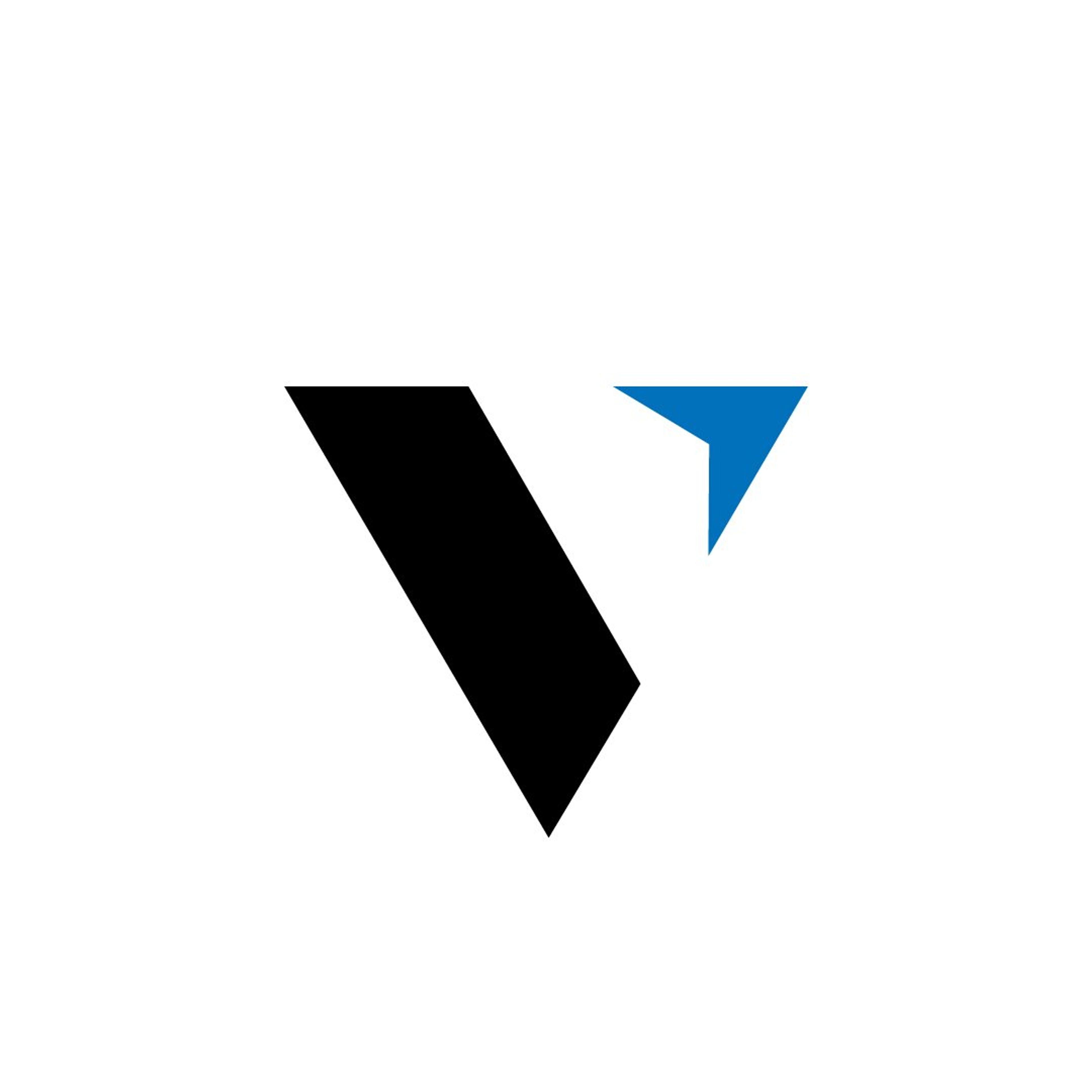 Vector srl