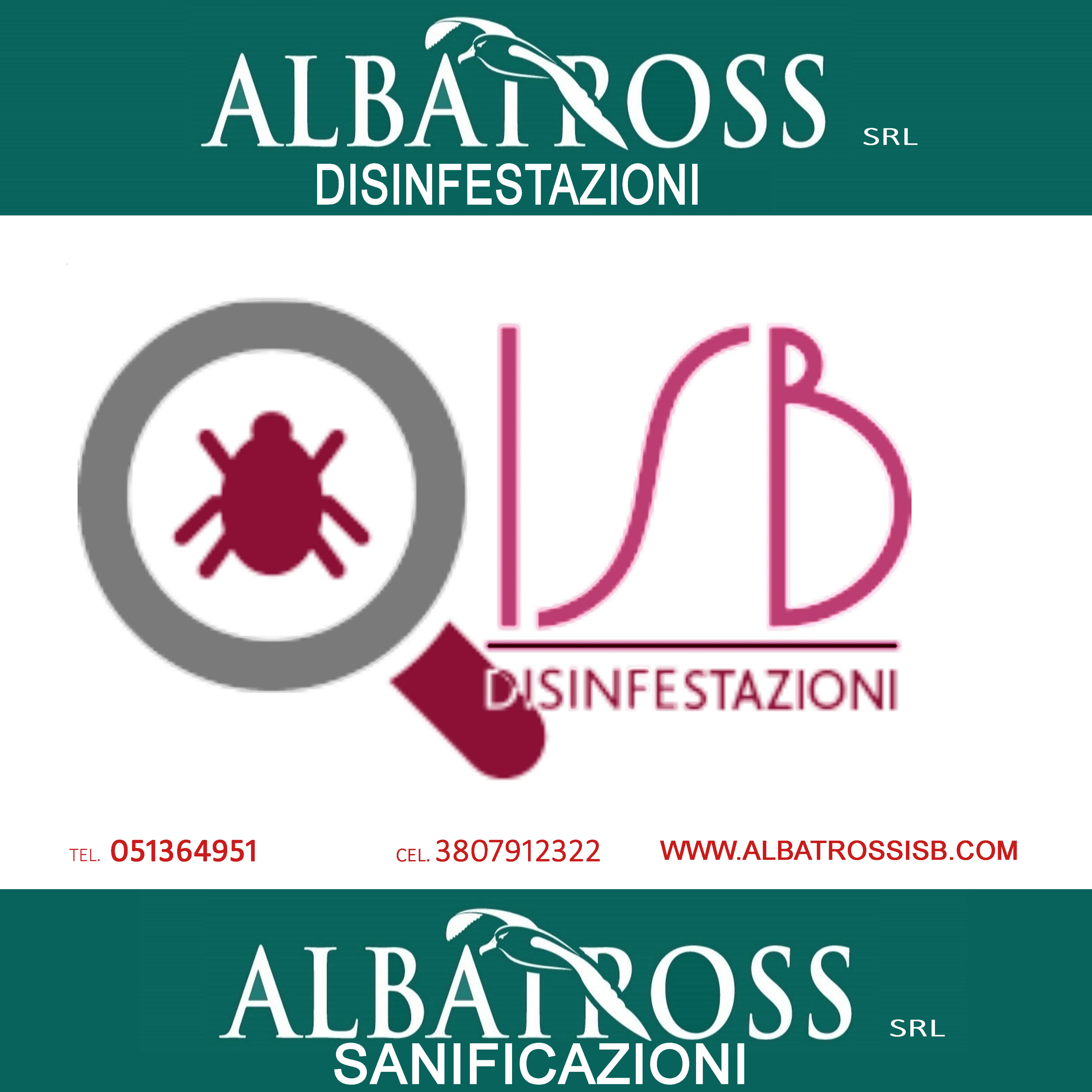 ALBATROSS SRL
