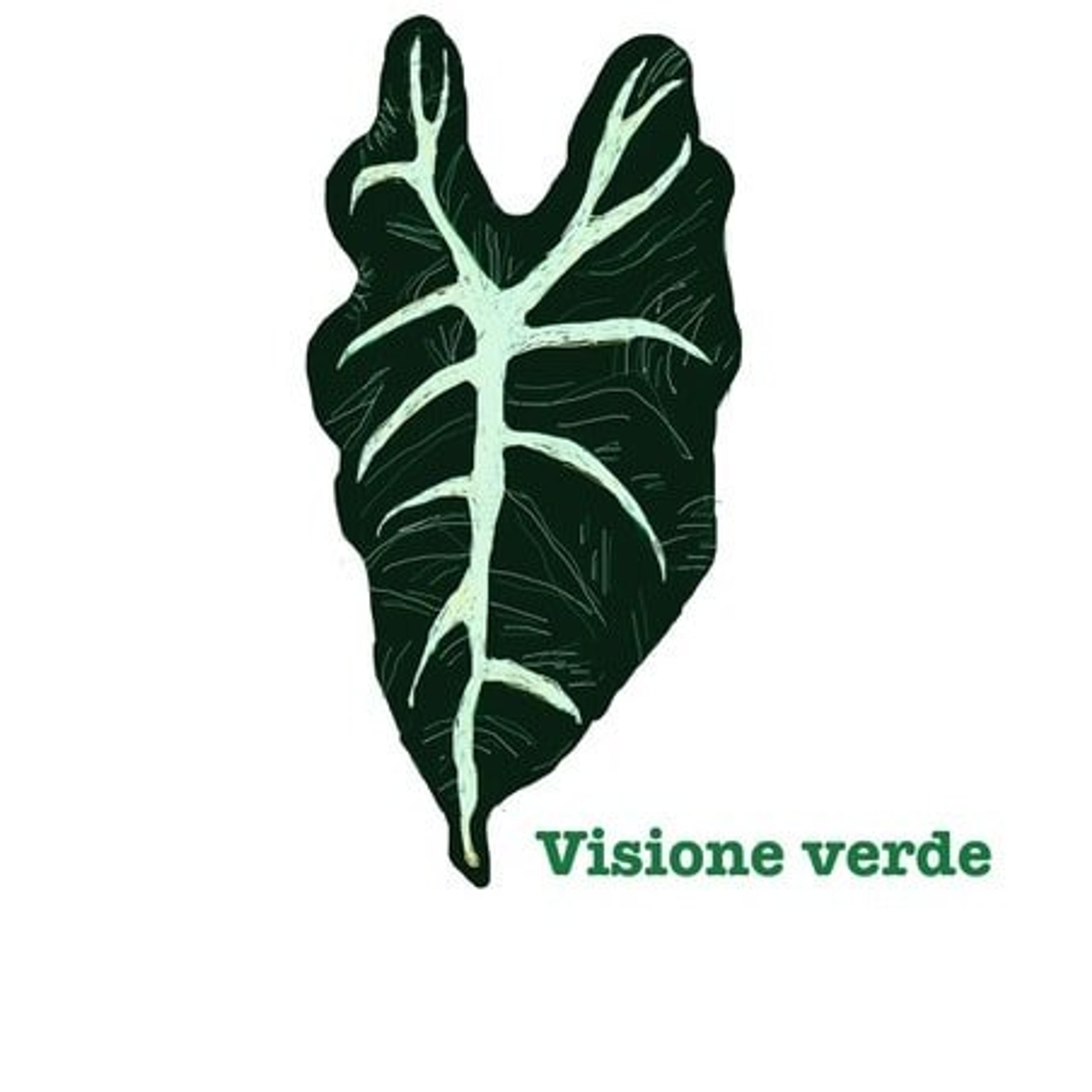 Visione verde