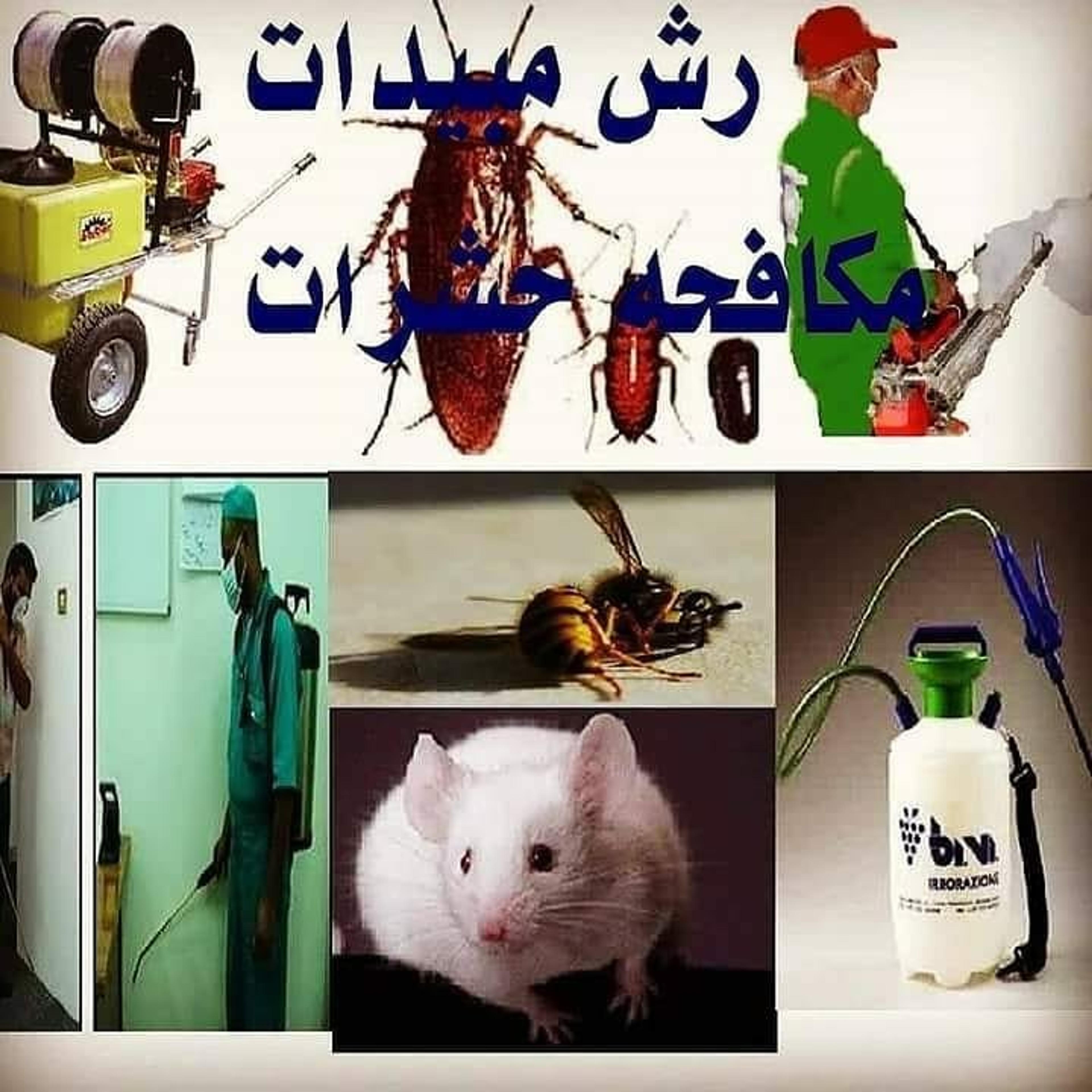 شركه انوار الرياض لمكافحة الحشرات
