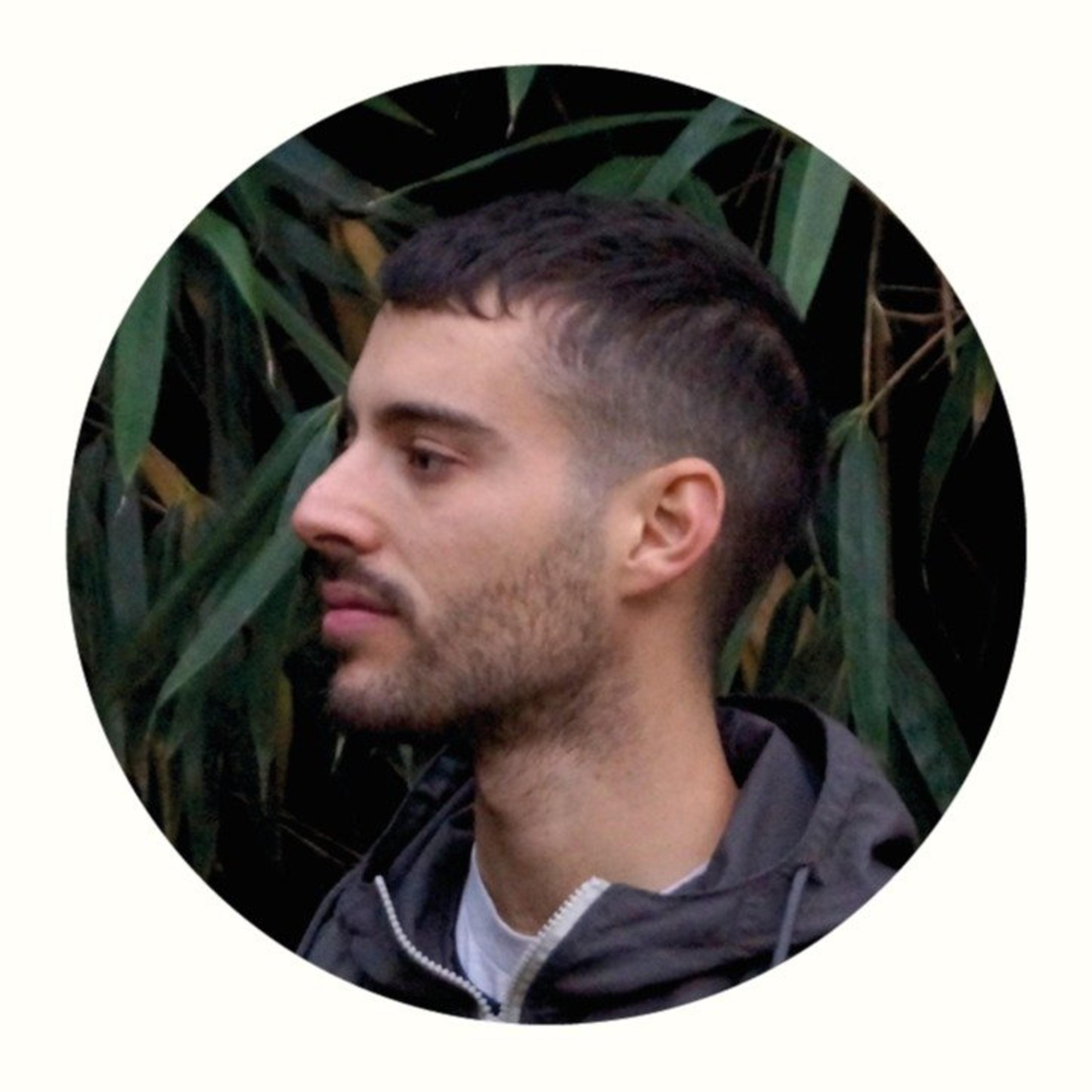 Giulio Davico