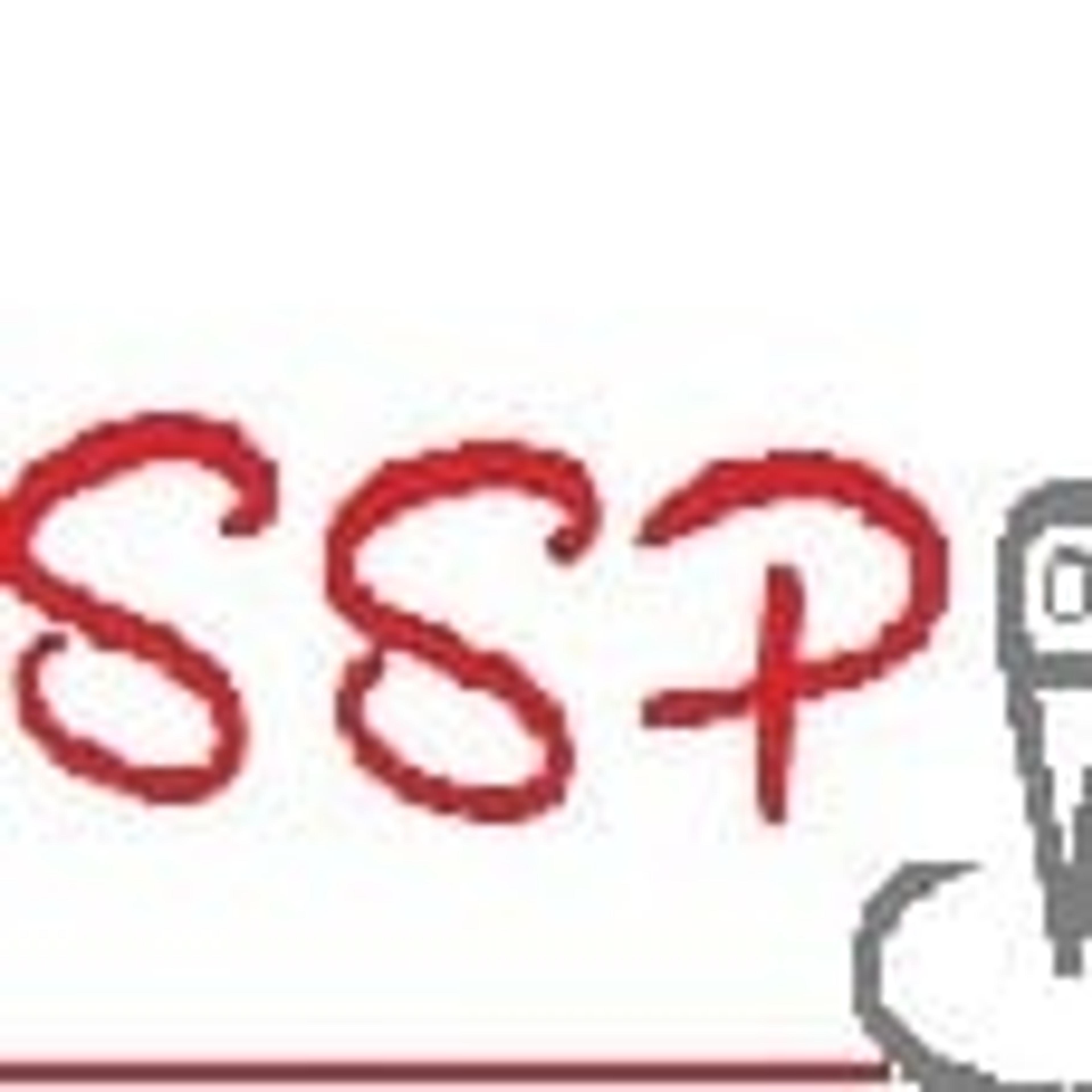 Service & Solution Point Srl