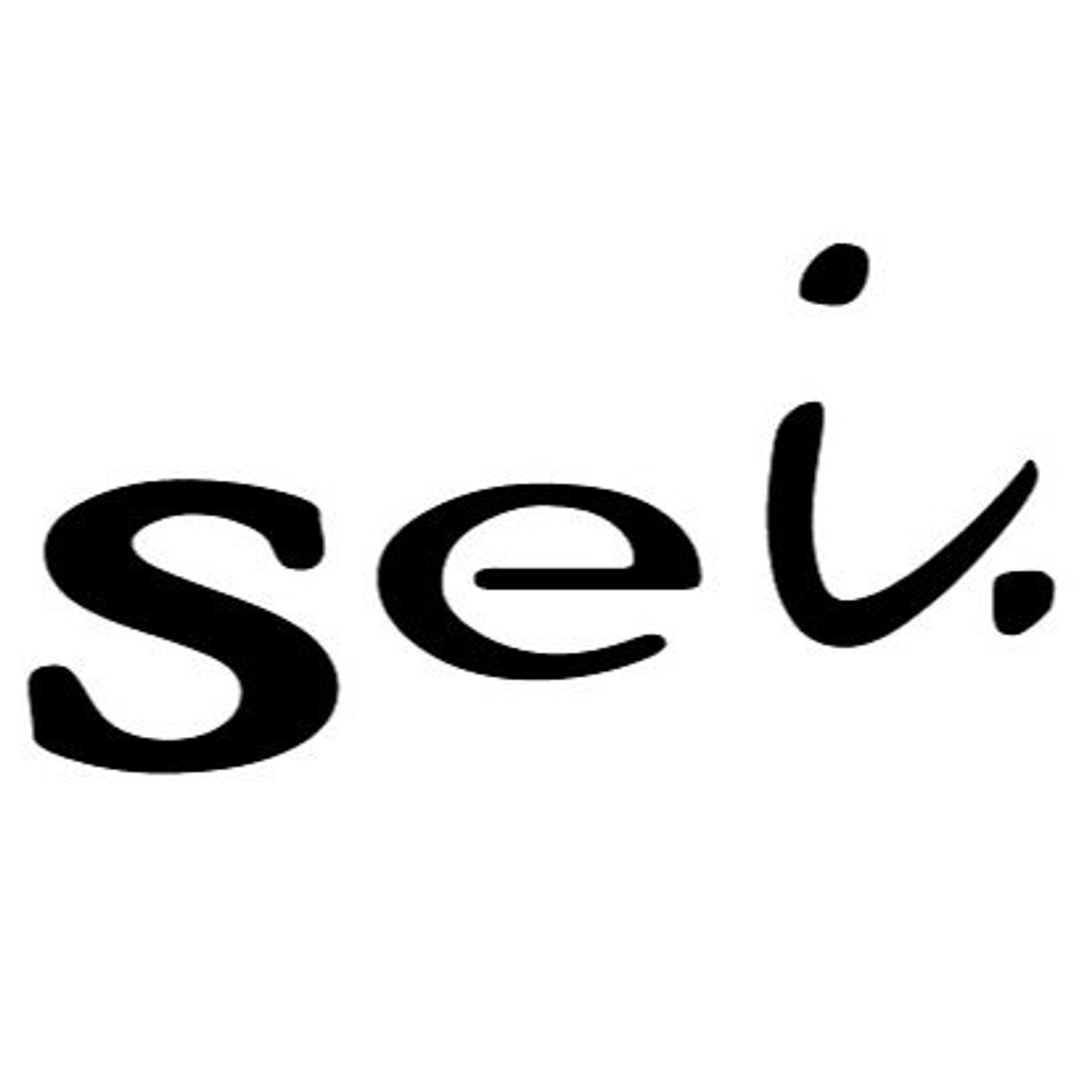 SEI SERVİCİOS CB