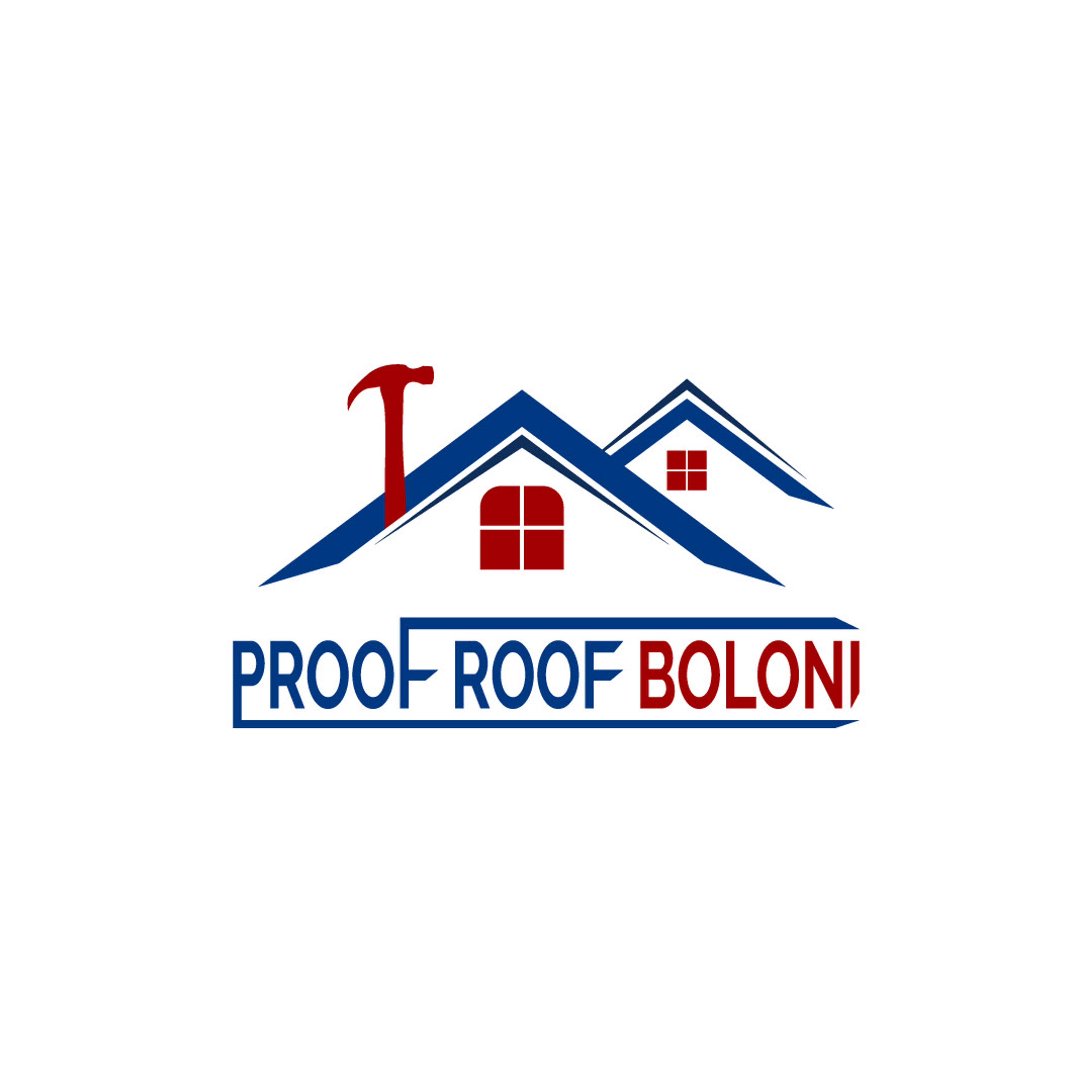 Proofroofboloni S R L