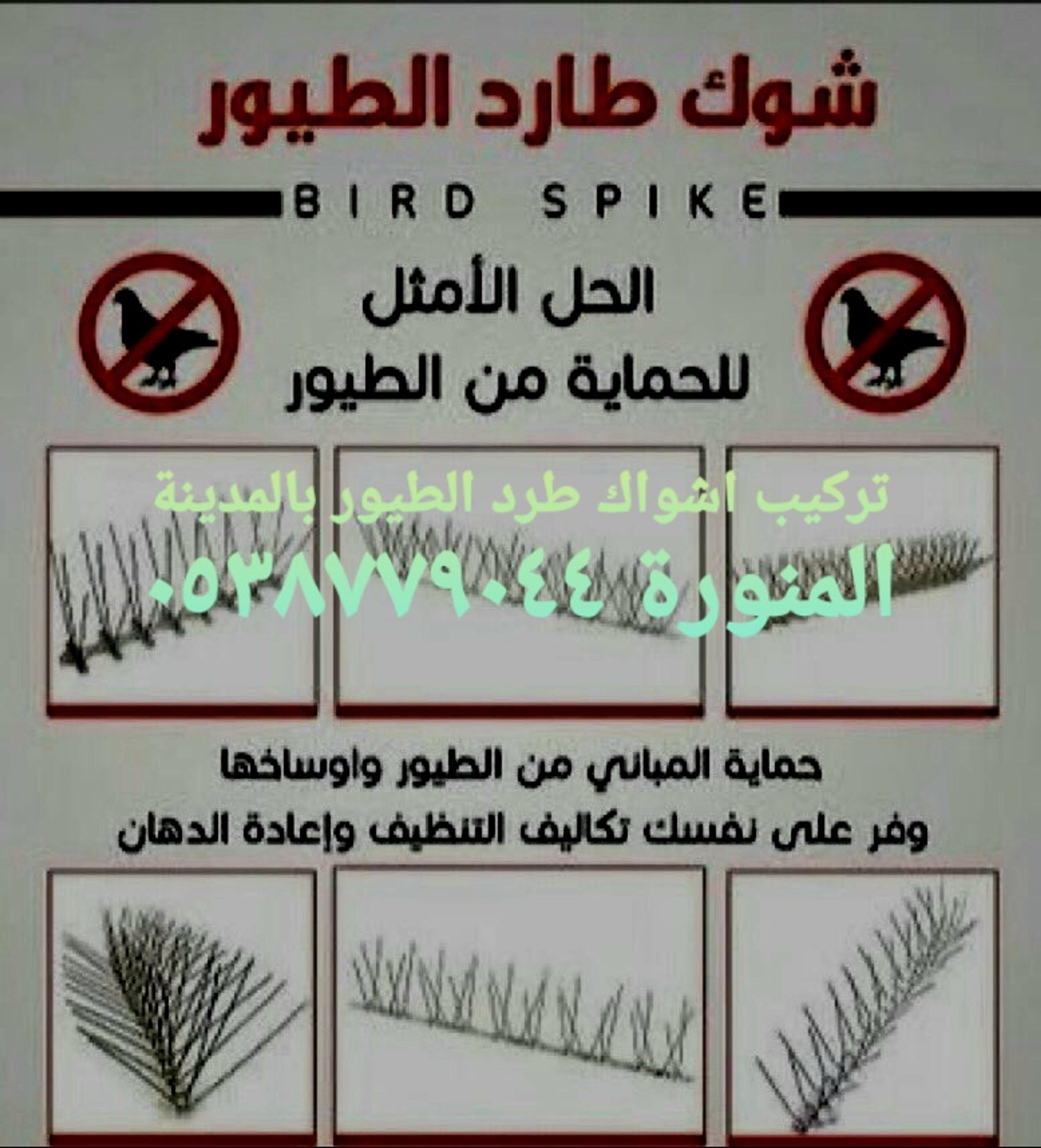 دوليه
