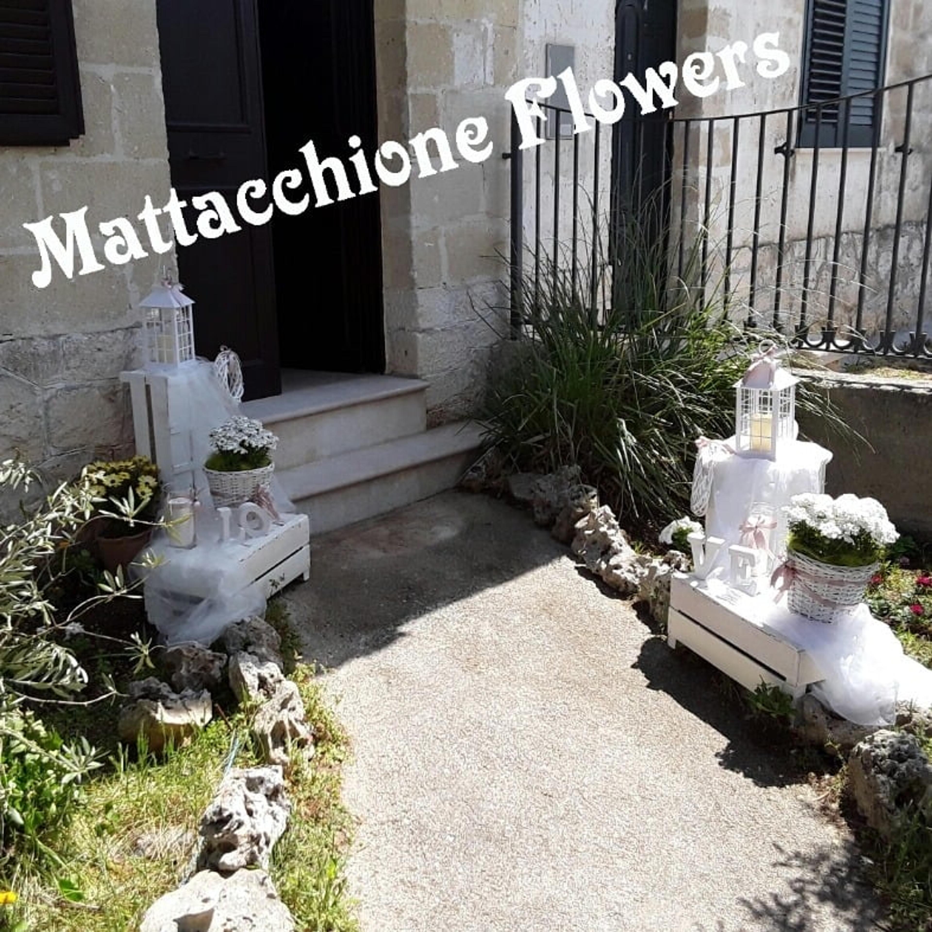 Mattacchione Flowers