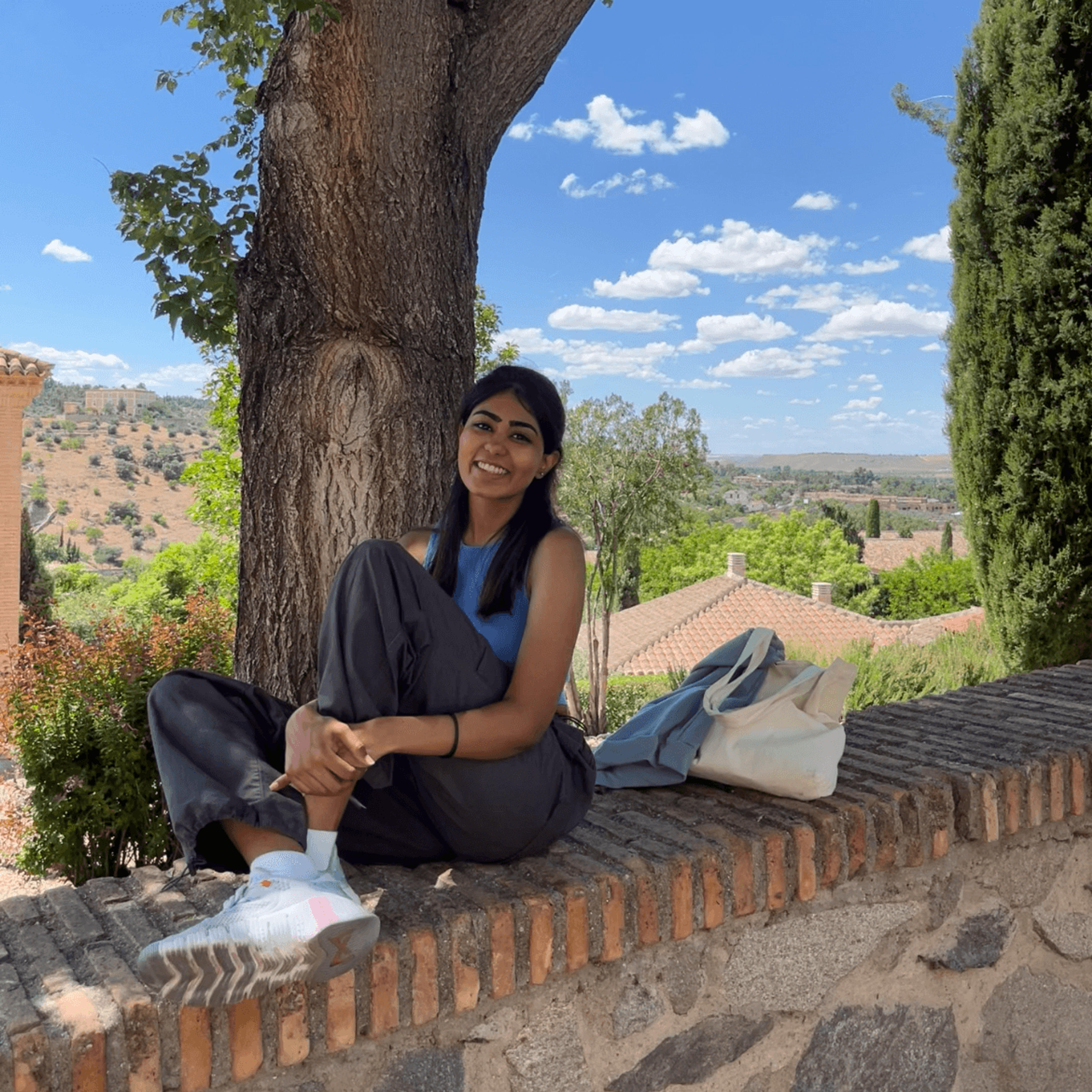 Smiti Mirmire