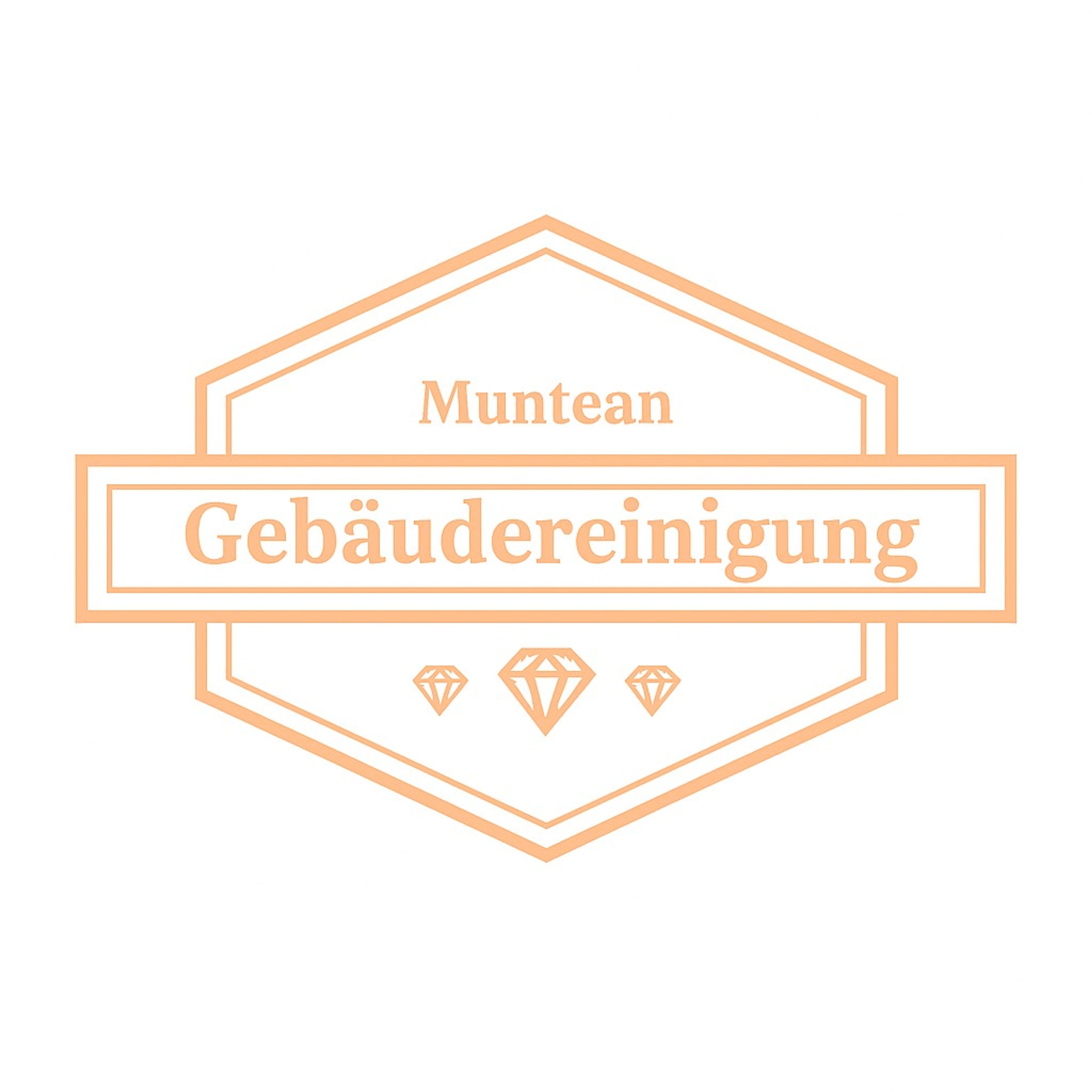 Muntean Gheorghe Danut