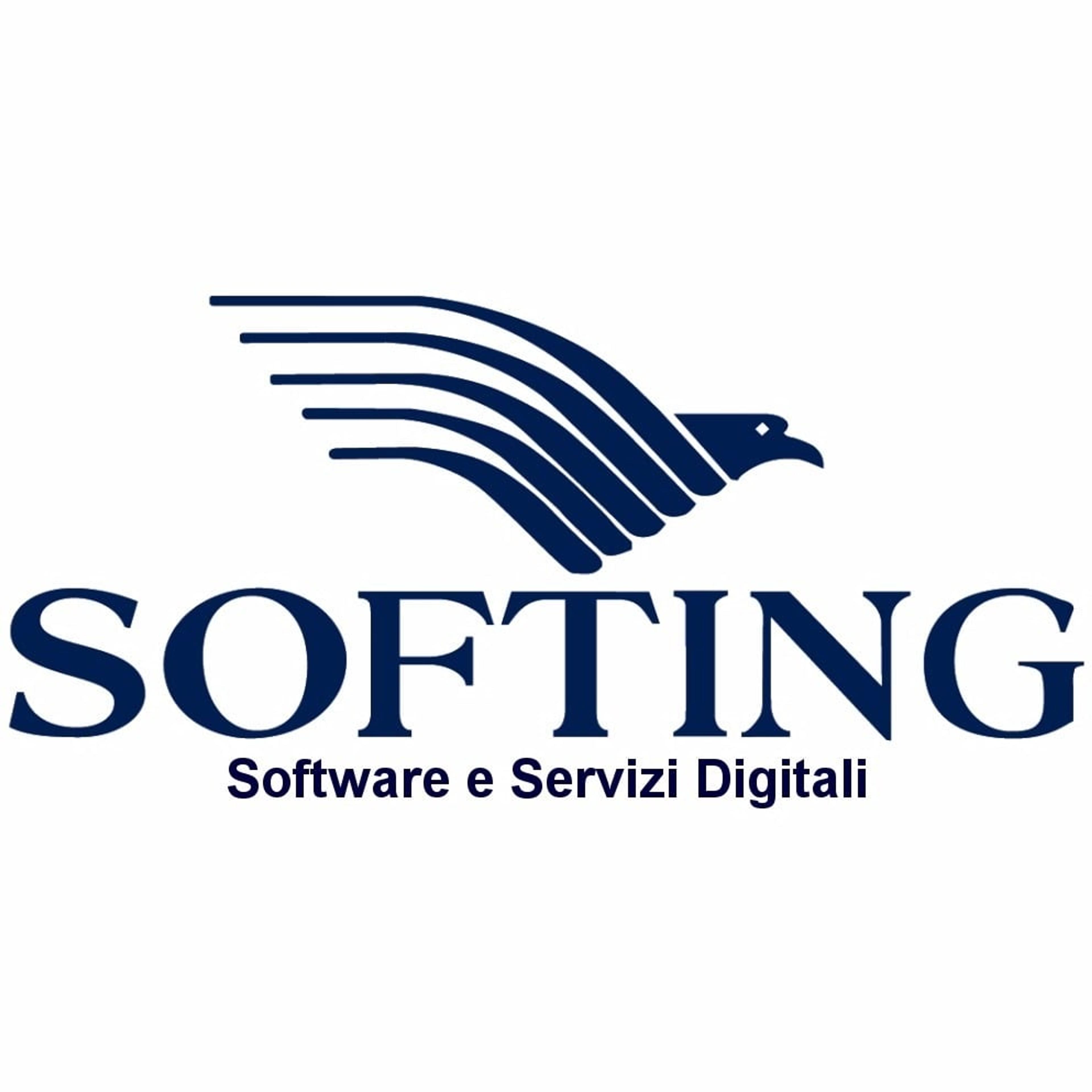 Softing Consulting srl