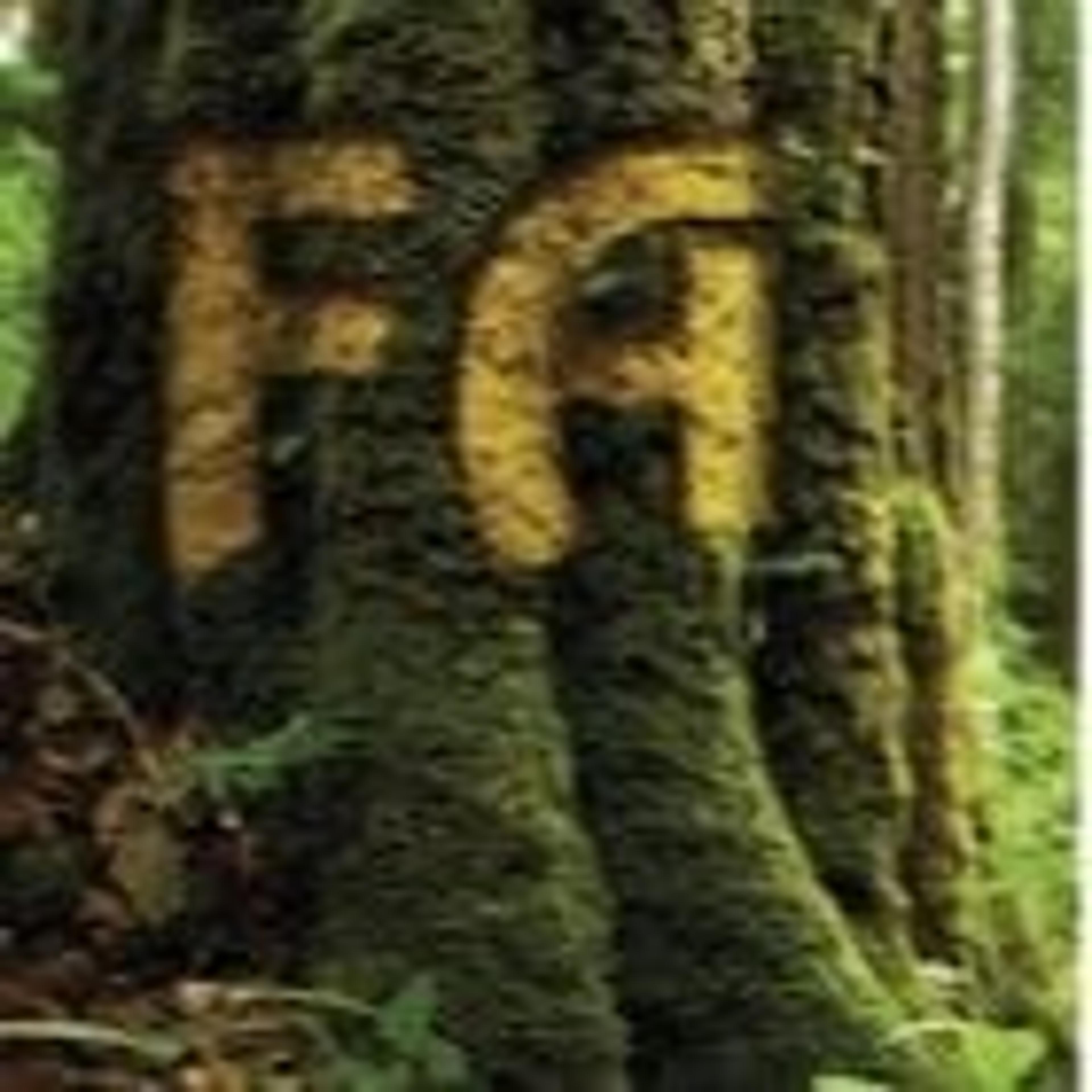 F. A