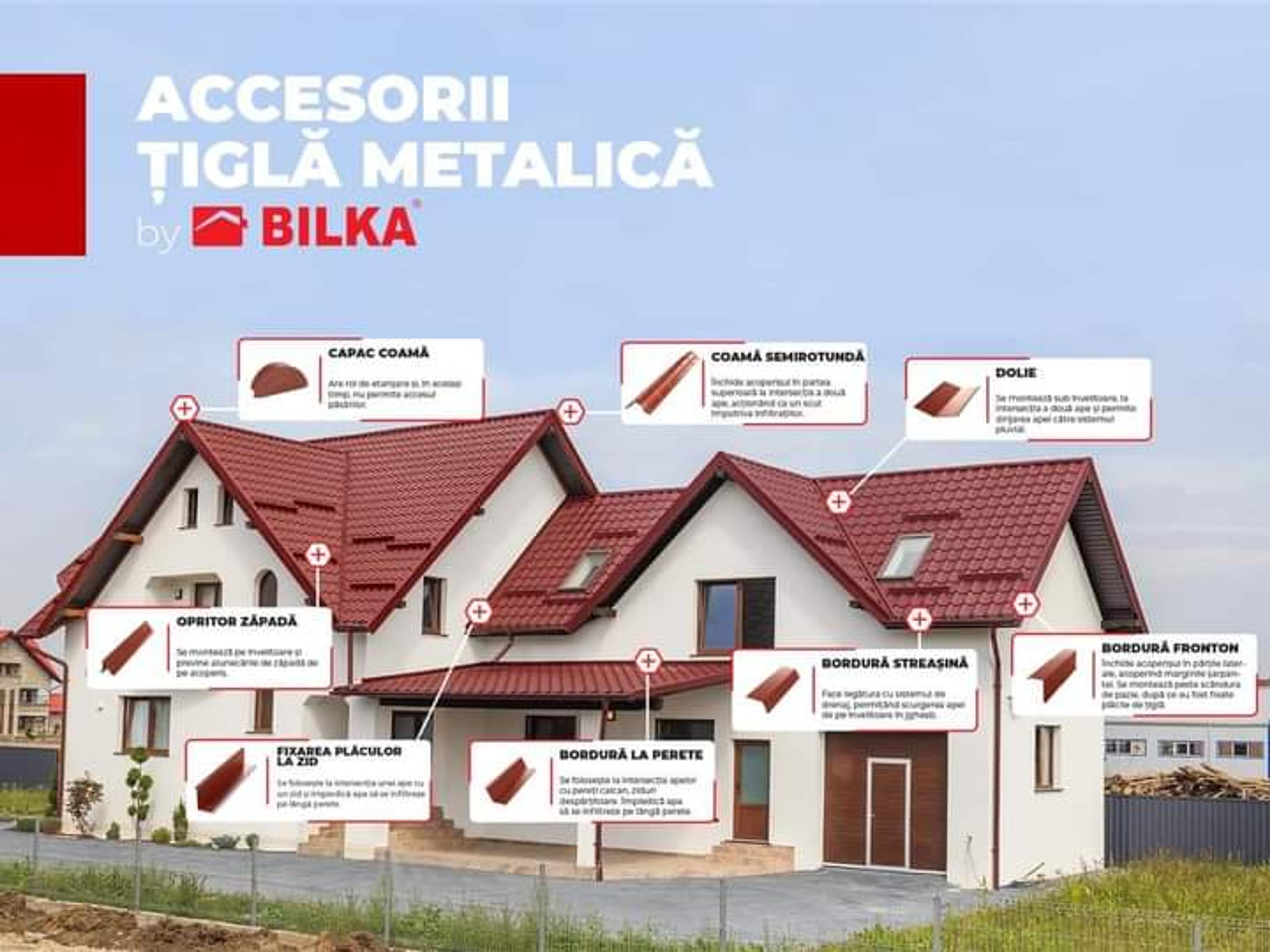 Alex Burcea