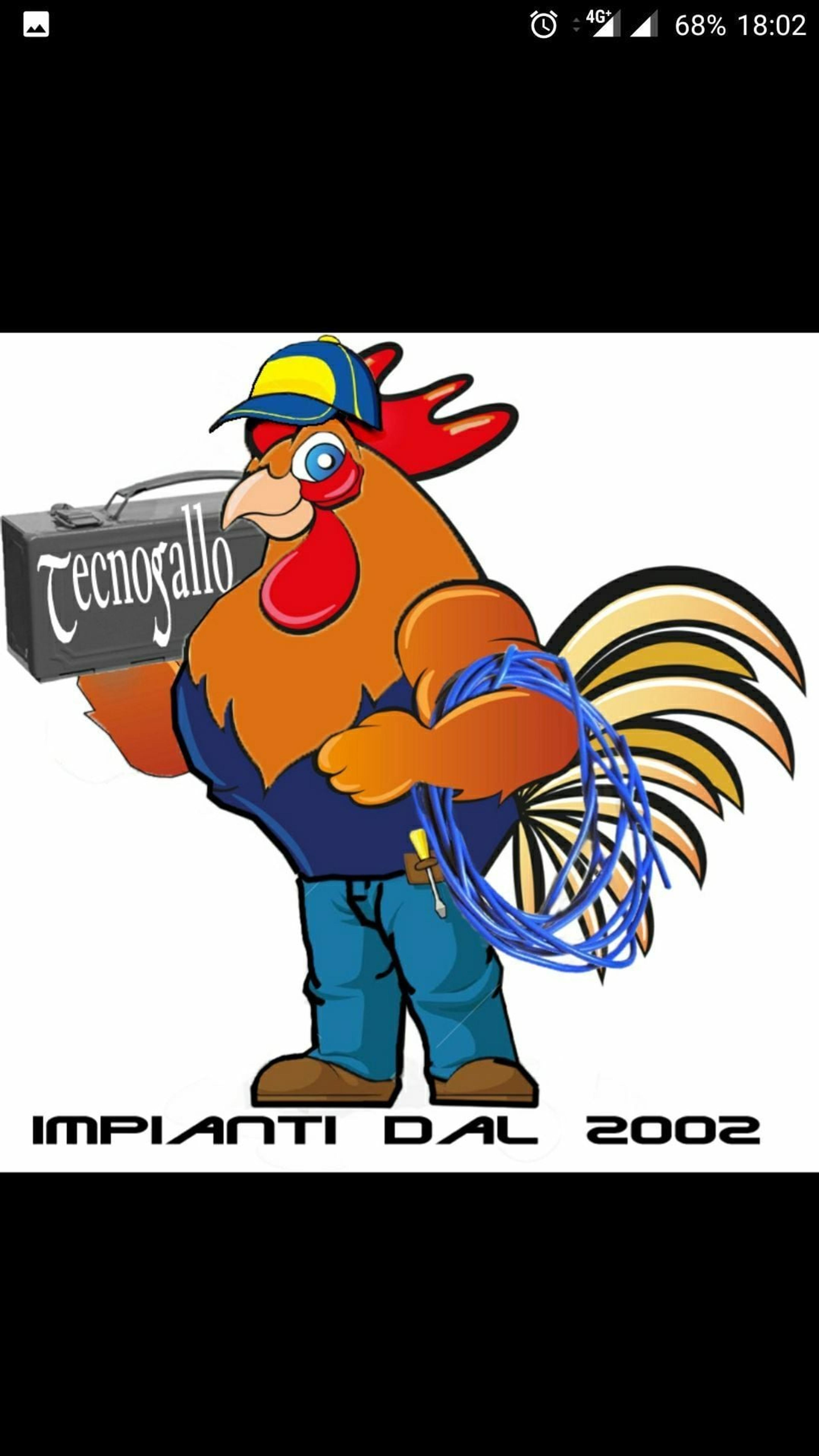 Tecnogallo snc