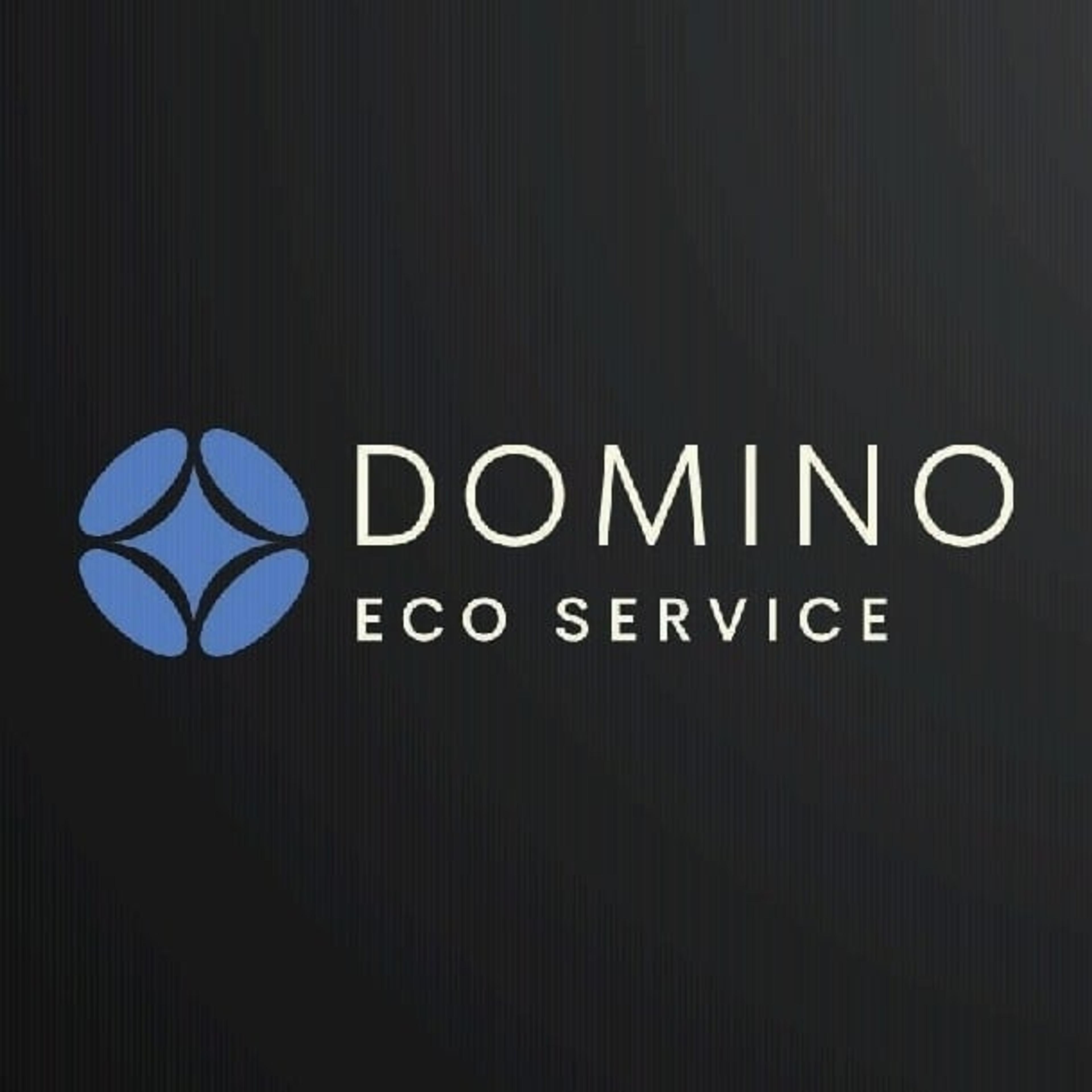 Domino Srls