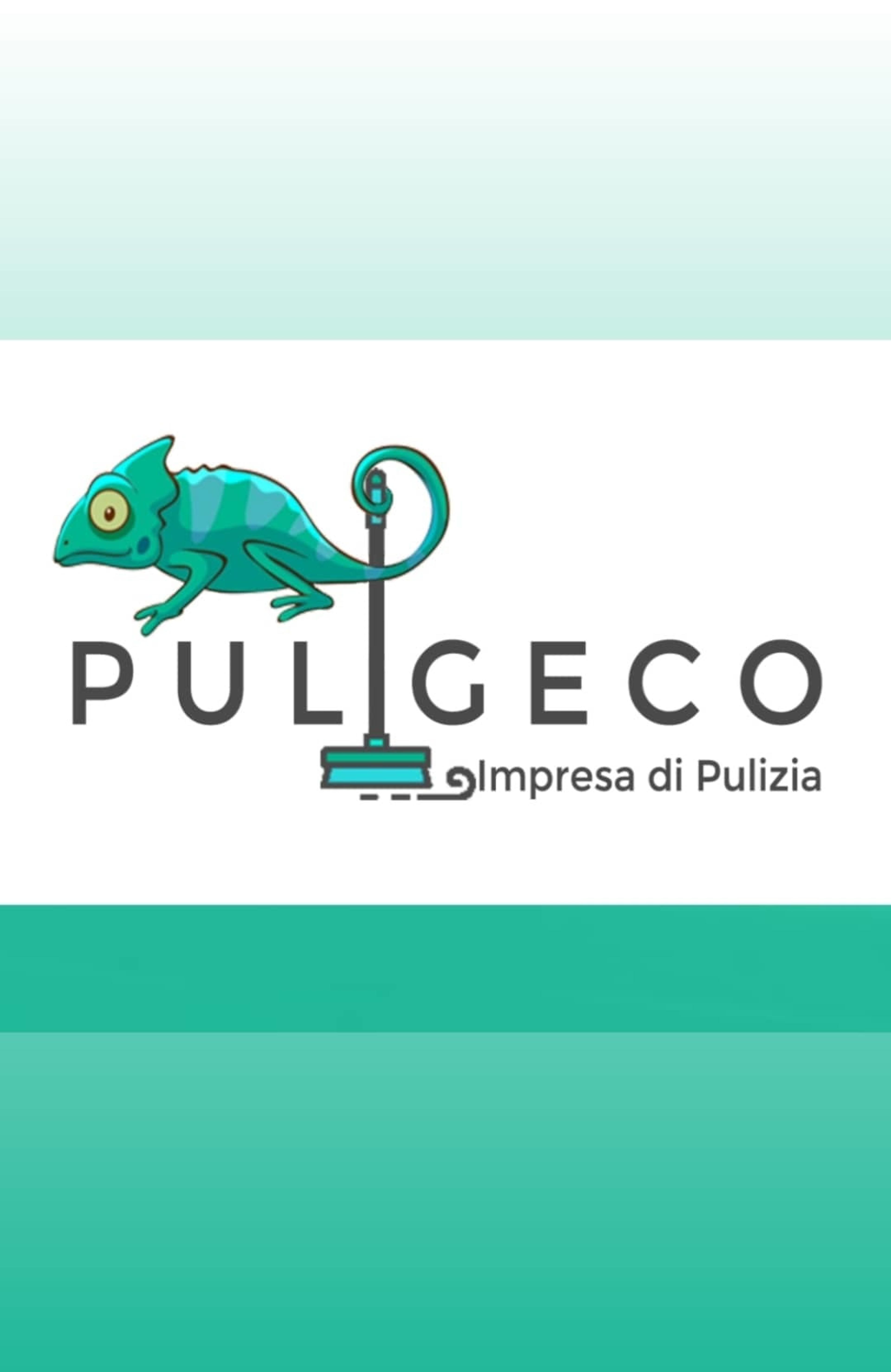 PULIGECO SRLS