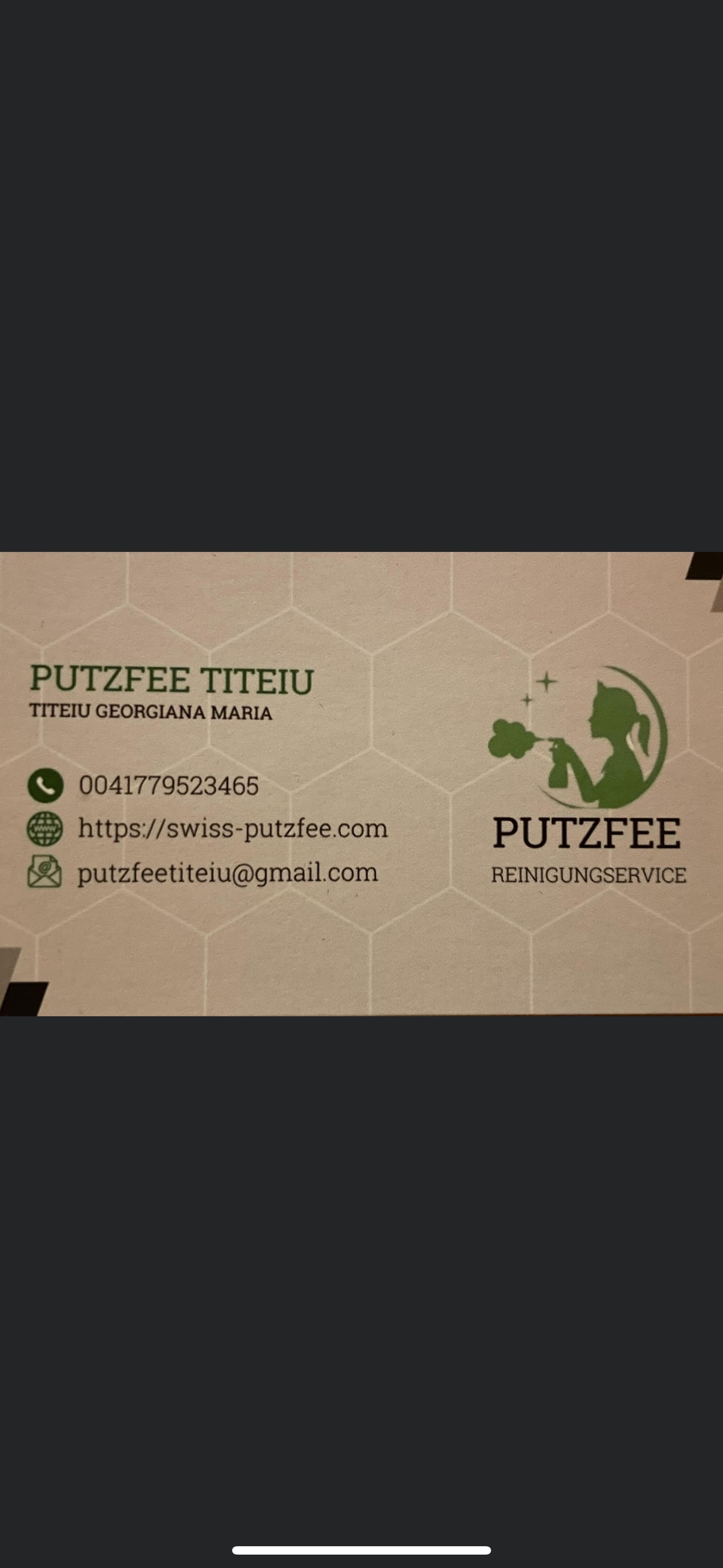 Putzfee Titeiu