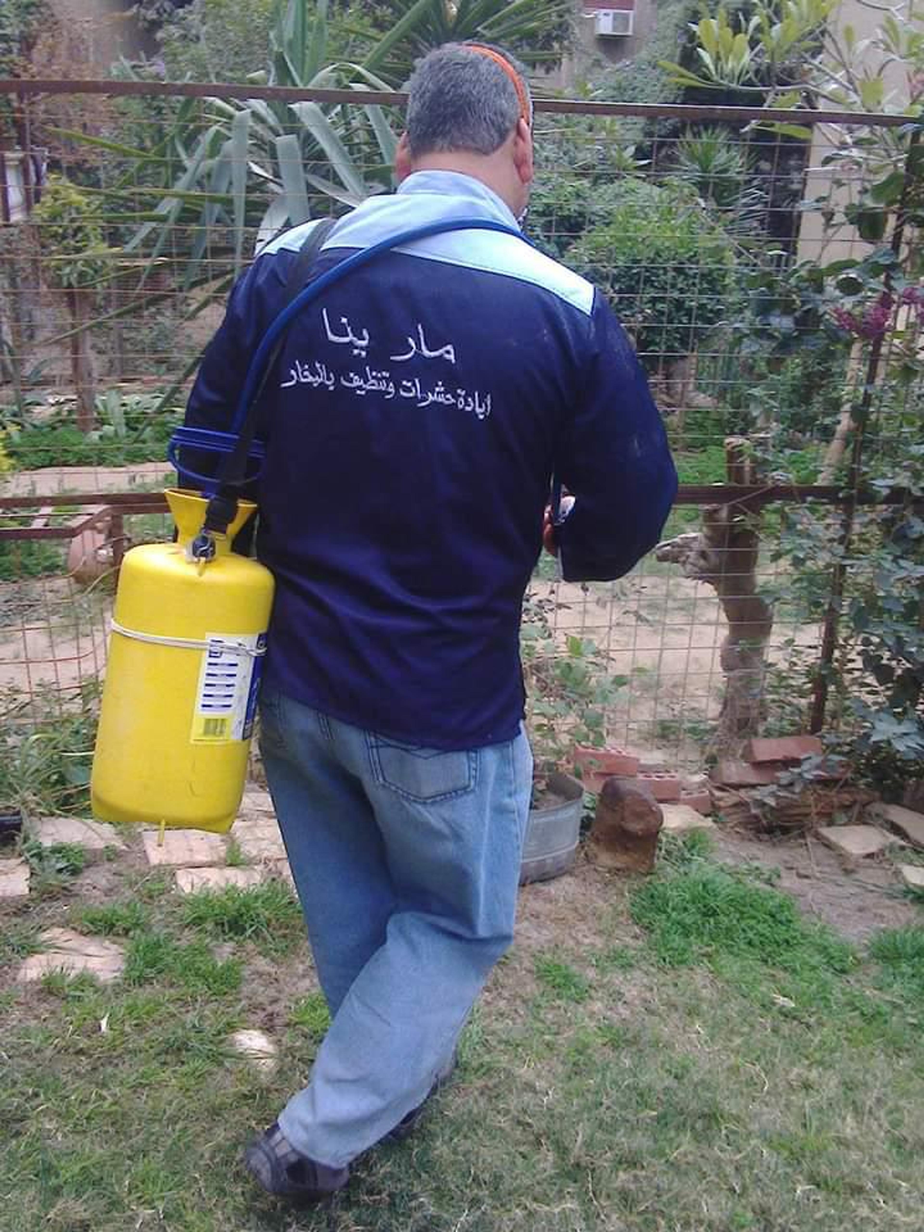 مارينا