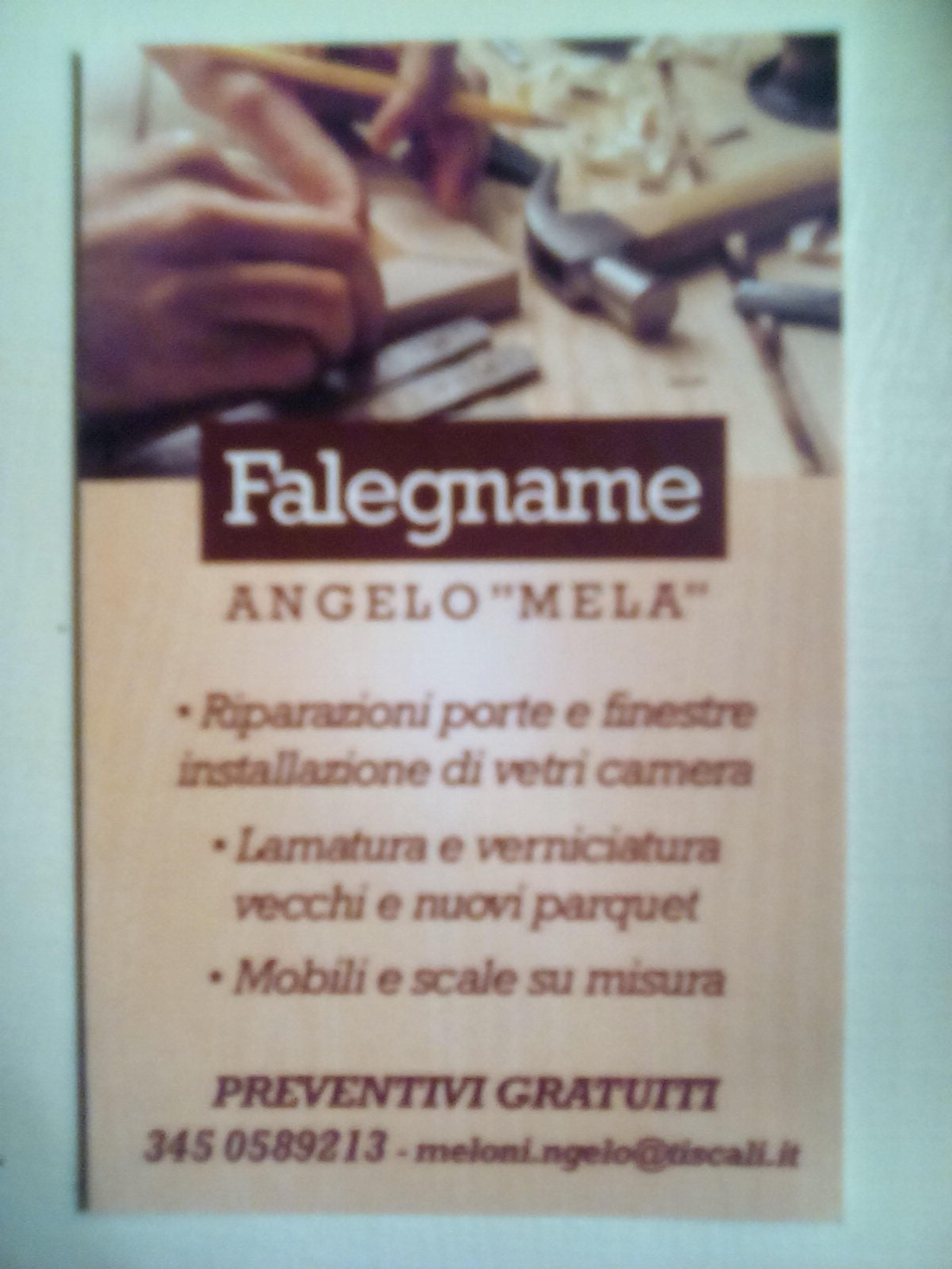 Angelo Meloni
