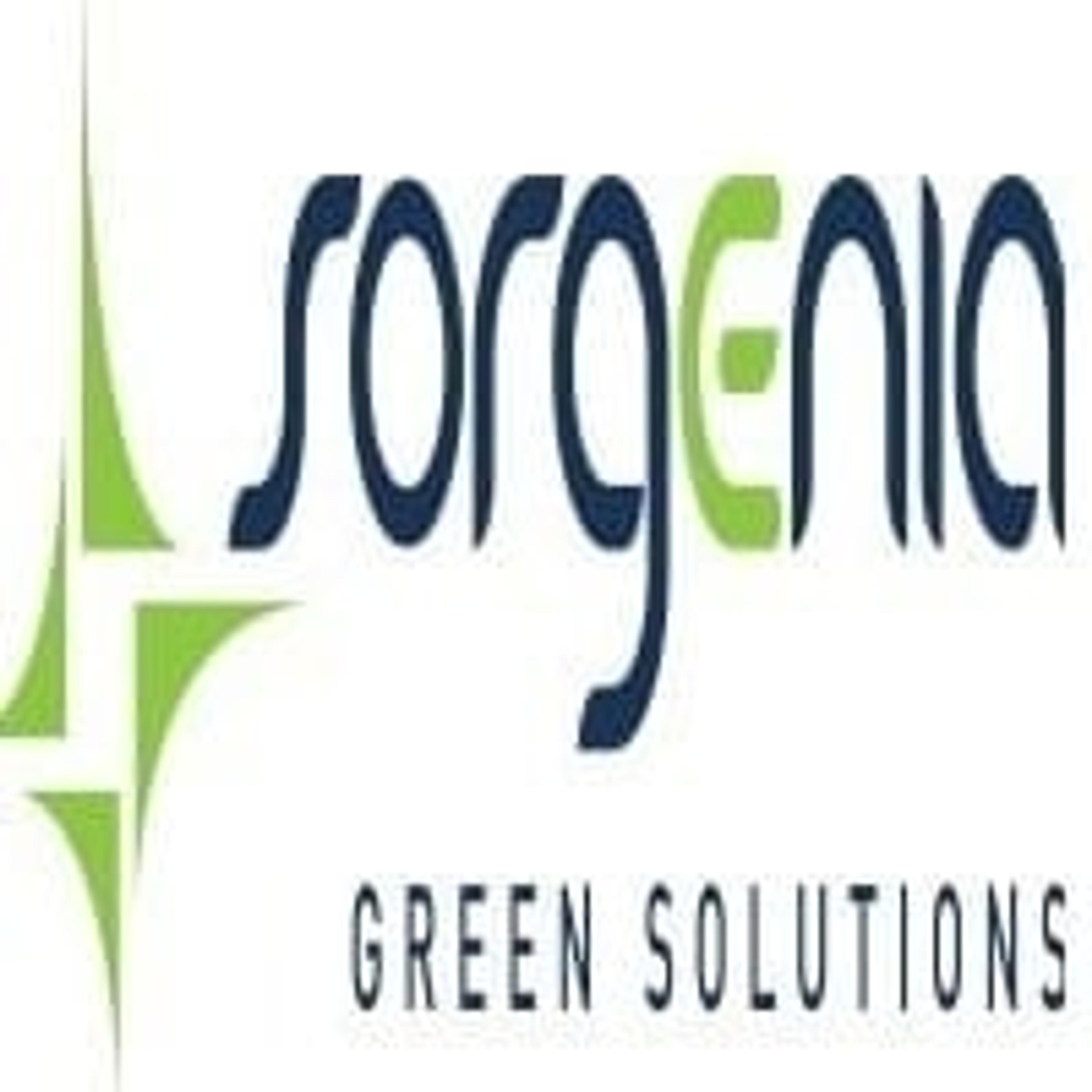 Sorgenia Green Solutions