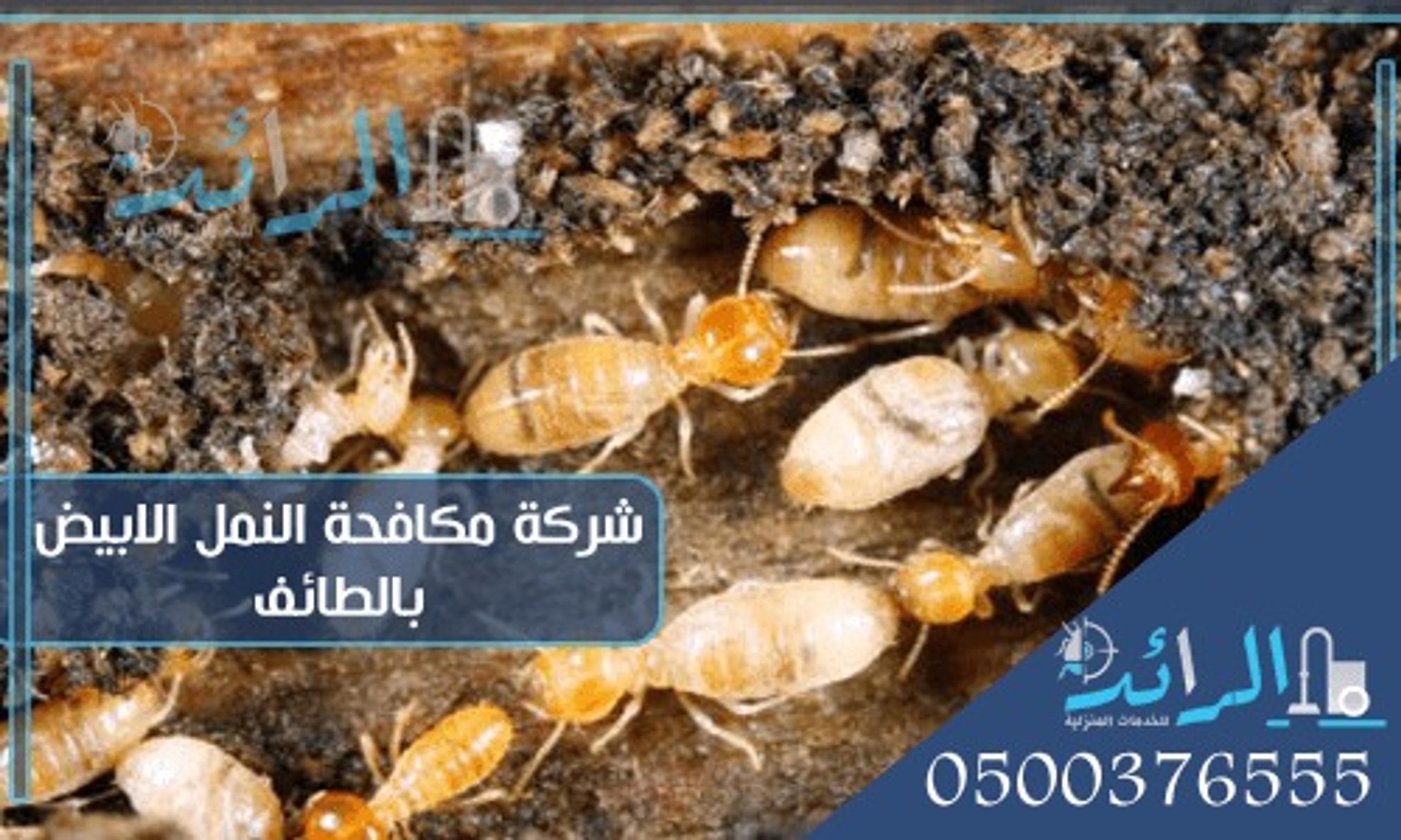 للنظافة العامة