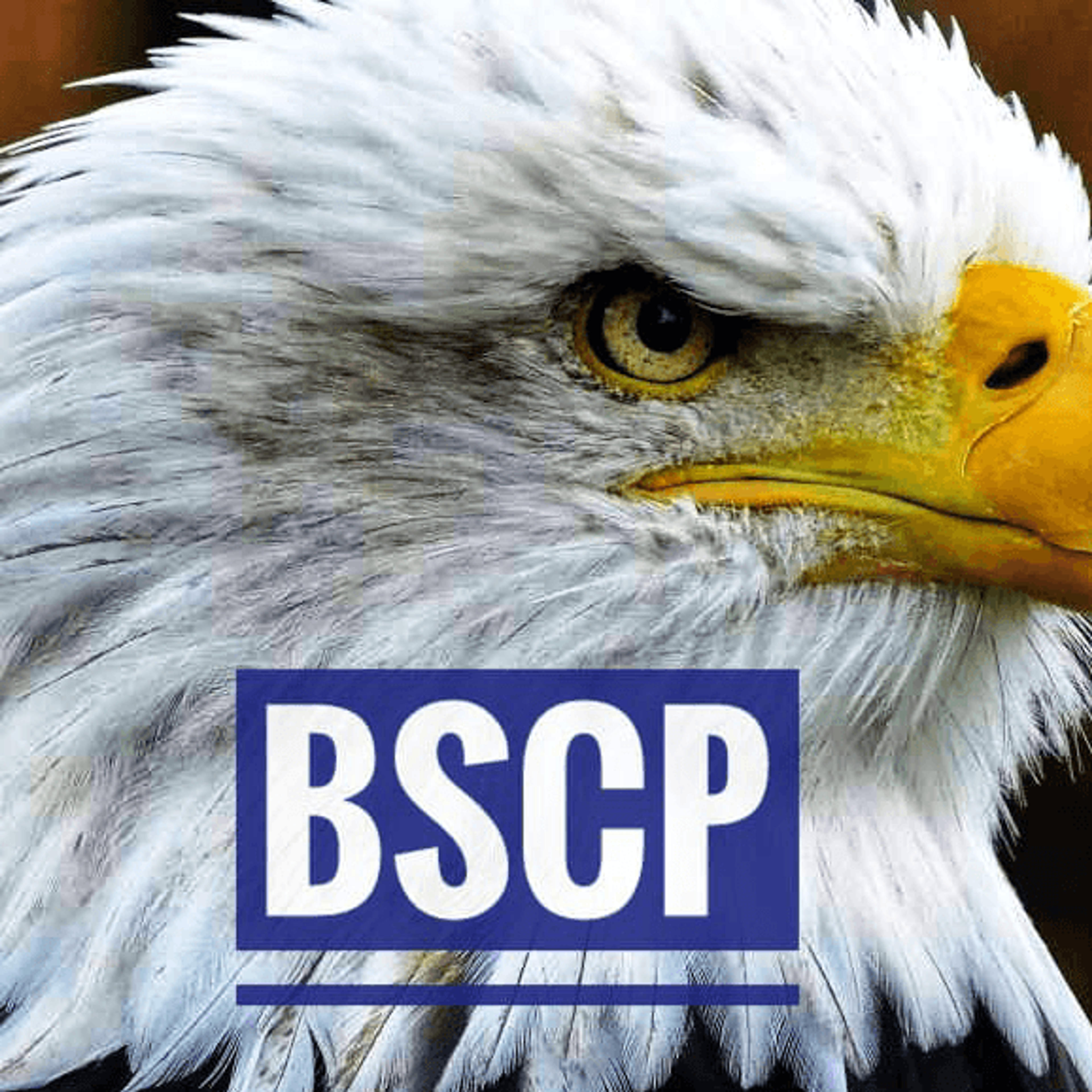 BSCP BARCELONA SEGURIDAD Y CONTROL DE PLAGAS