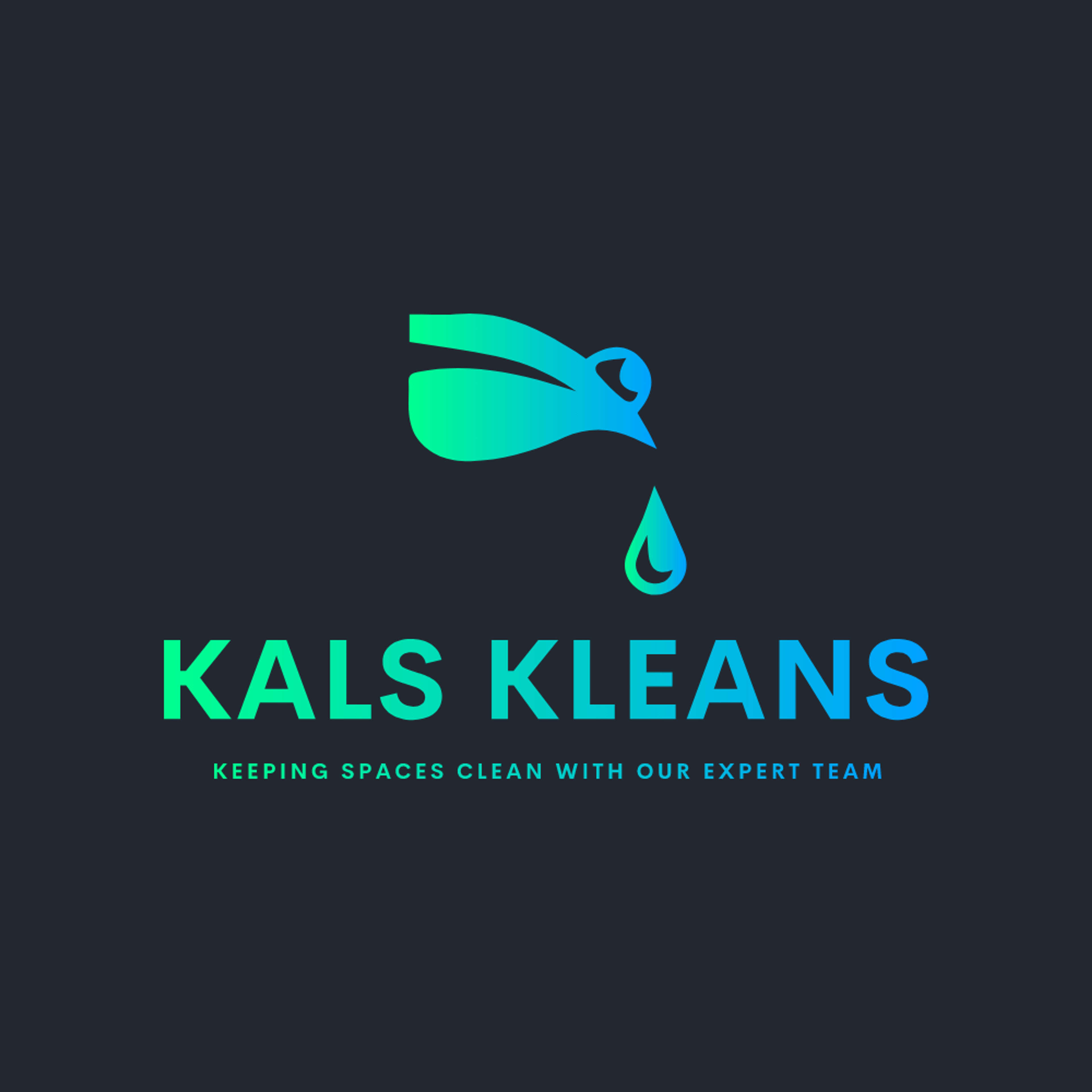 Kals Kleans Ltd