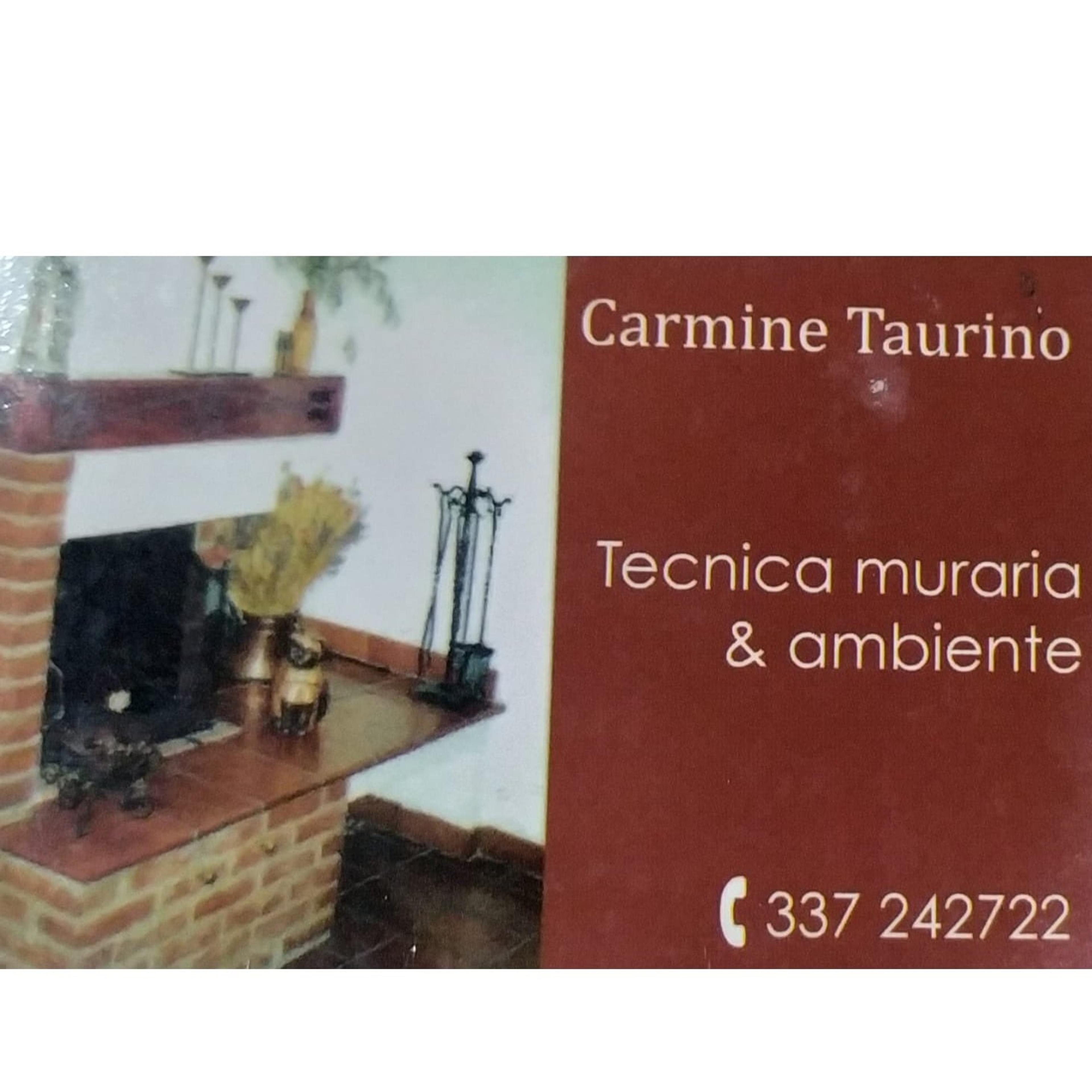 Ditta Taurino (Tecnica muraria & Ambiente)