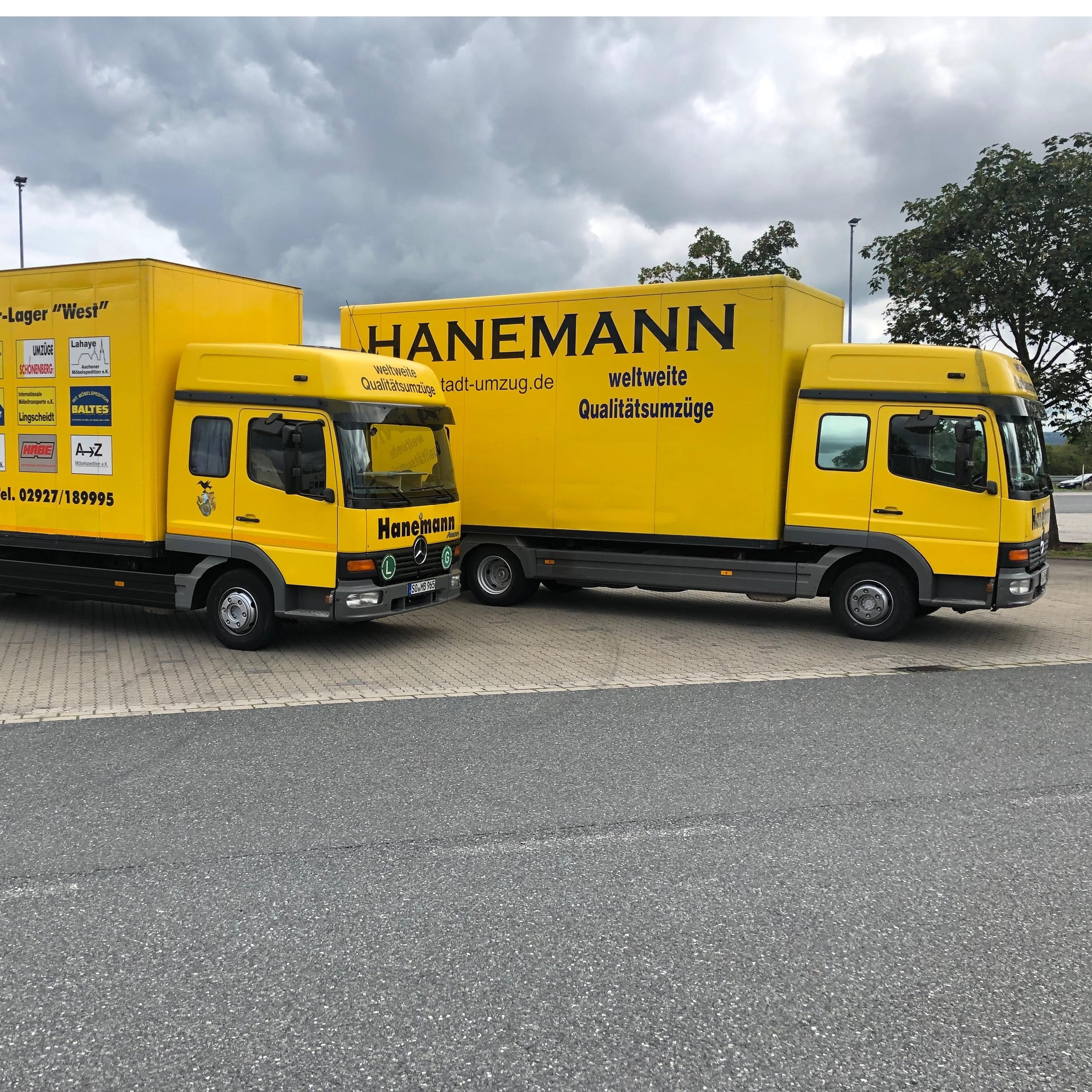 Heinrich Hanemann