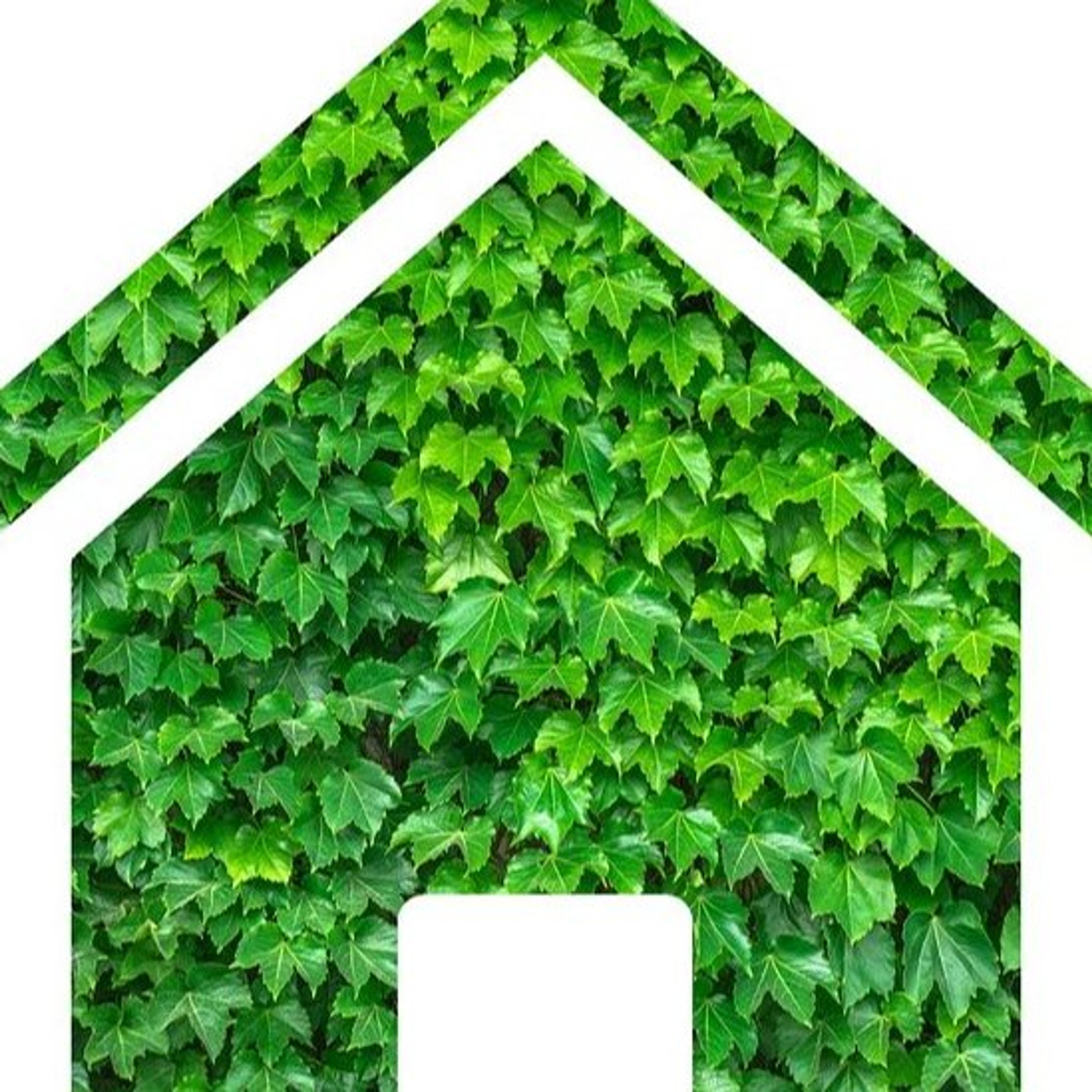 Global green house