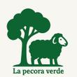 Alessandria / Alessandria
