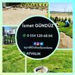 Balıkesir / Gömeç