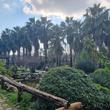 Antalya / Konyaaltı
