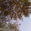 İstanbul / Pendik