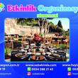 İstanbul / Beykoz