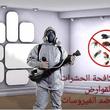 الدقهلية / منية النصر