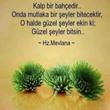 İstanbul / Beykoz