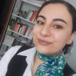 Bursa / Osmangazi