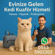 İzmir / Bayraklı