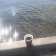 İzmir / Güzelbahçe