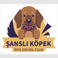 Şanslı Köpek O. photo