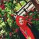 Fatma Y. photo