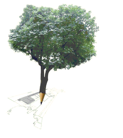 Davide T. S. B. photo