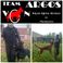 Argos Köpek Eğitim Merkezi photo